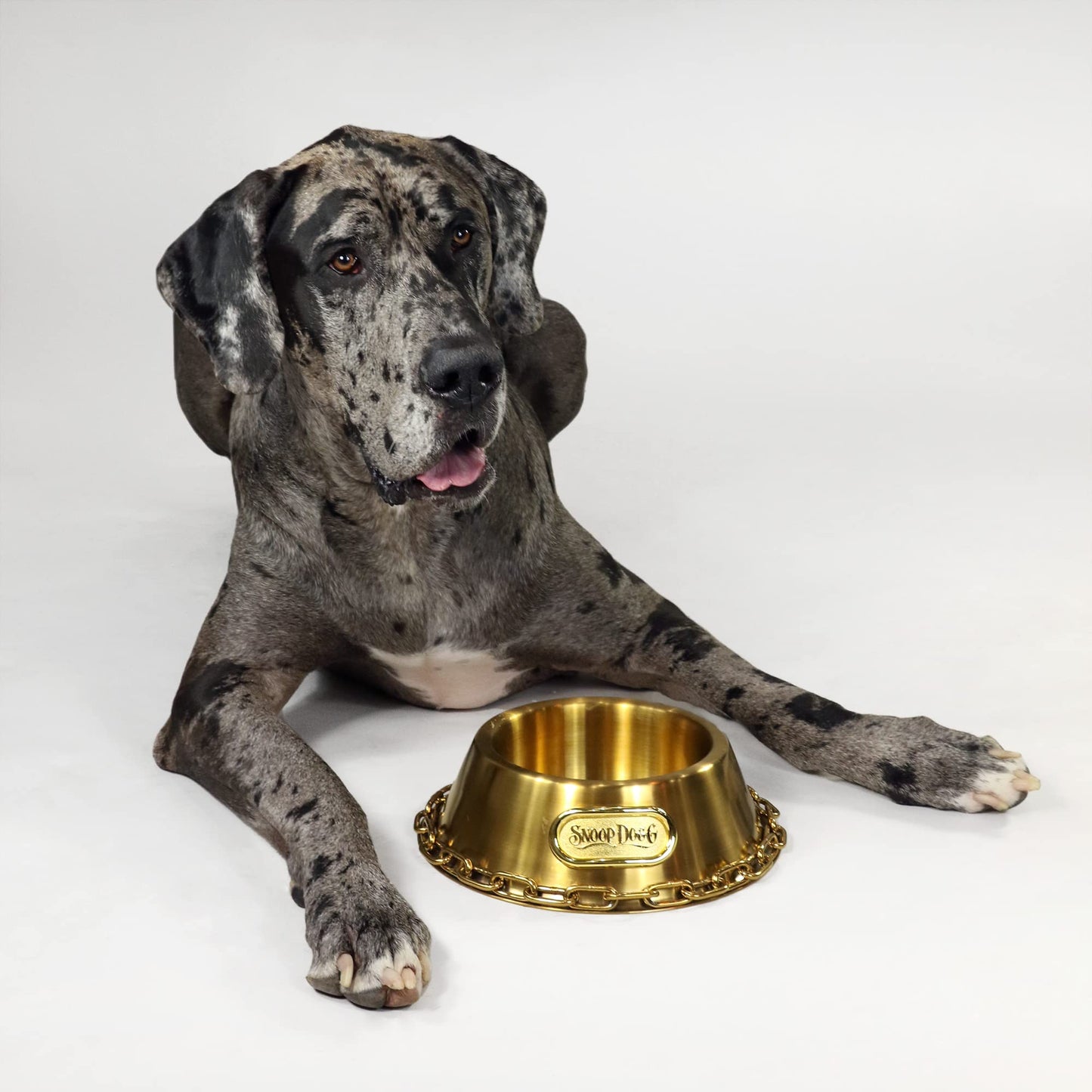 Tazón Pequeño para Mascotas Snoop Doggie Doggs Dorado Deluxe