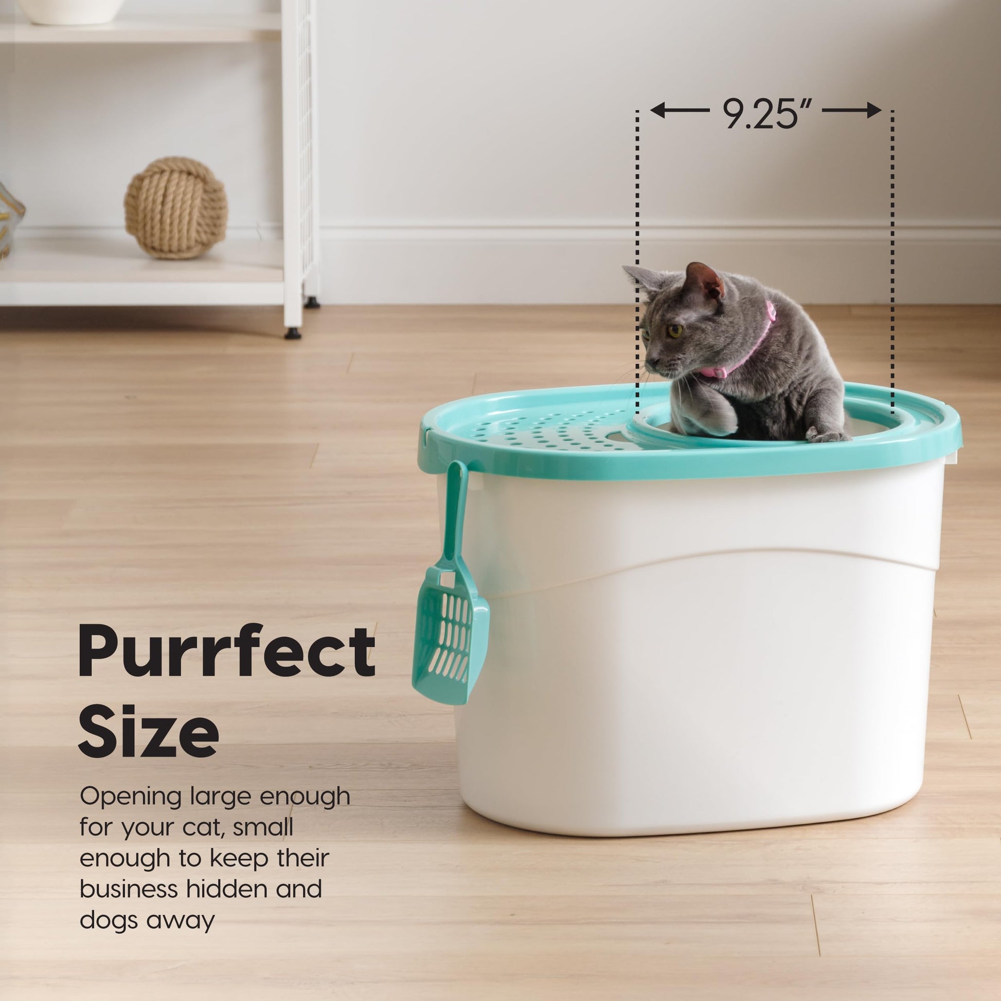 Arenero Ovalado con Entrada Superior IRIS USA Blanco Verde Agua