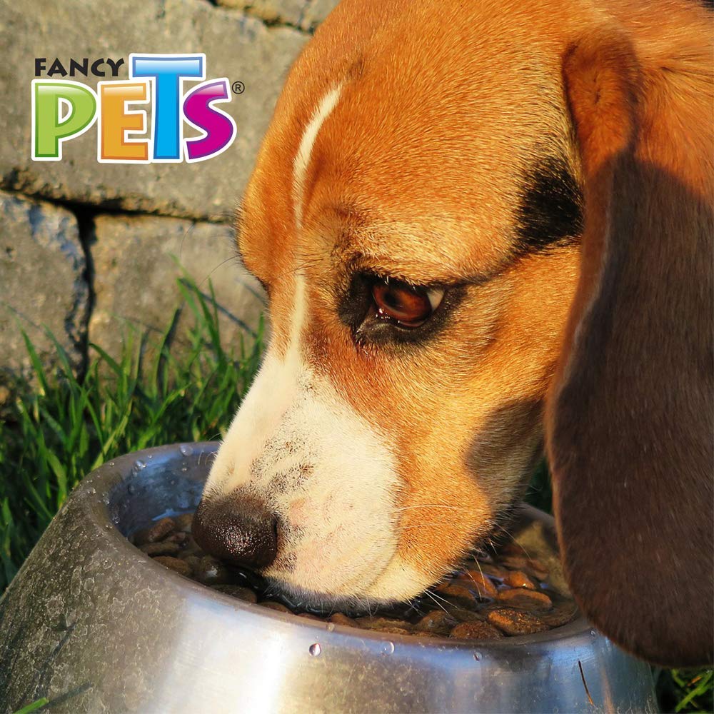 Fancy Pets Plato de Acero para Perro de 64 Onzas o 1.8 Kilogramos con Antiderrapante