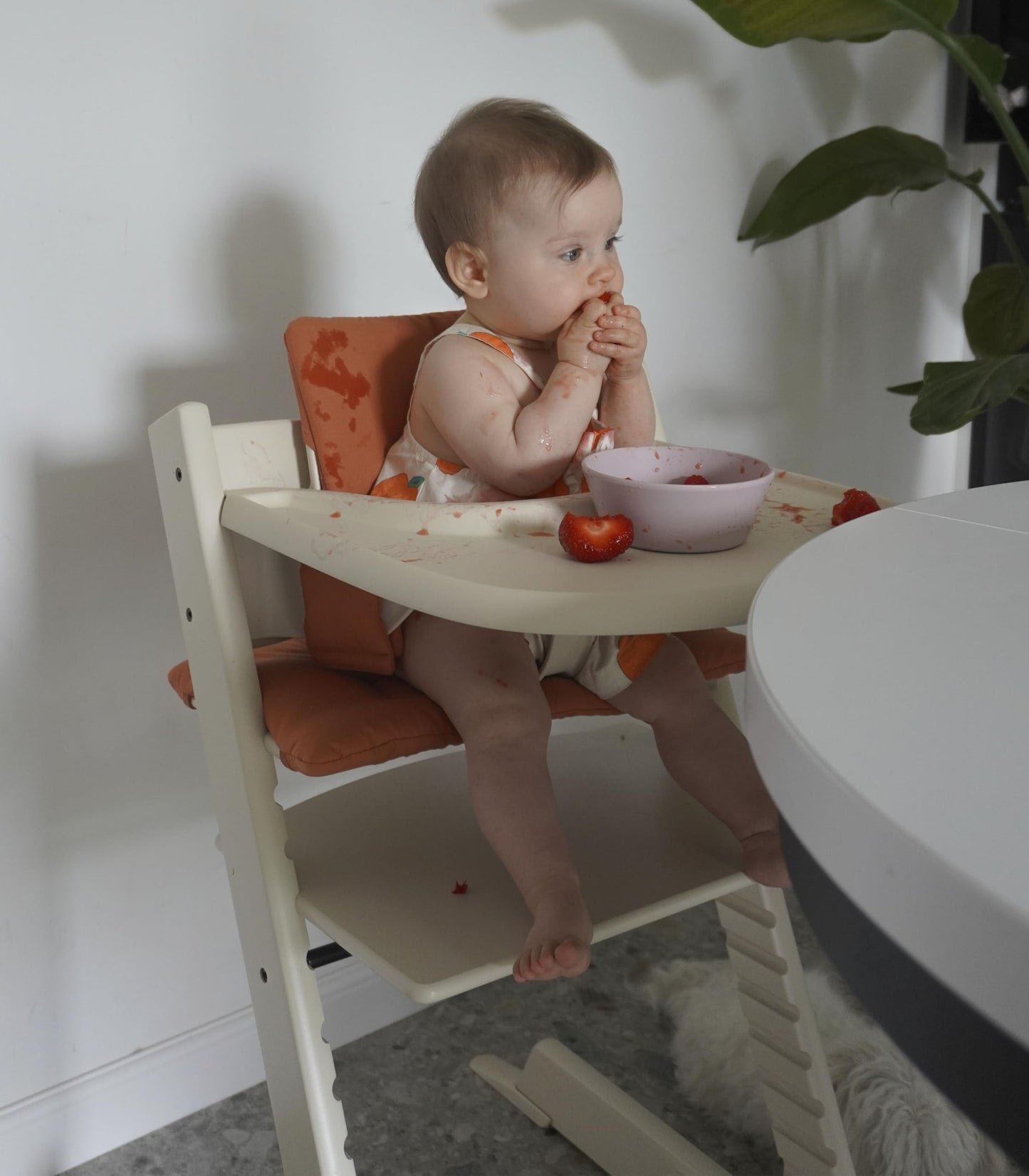 Stokke Bandeja, Diseñada exclusivamente para la Silla Tripp Trapp - Fácil de usar y limpiar - Hecha con plástico sin BPA - Para niños de 6-36 meses
