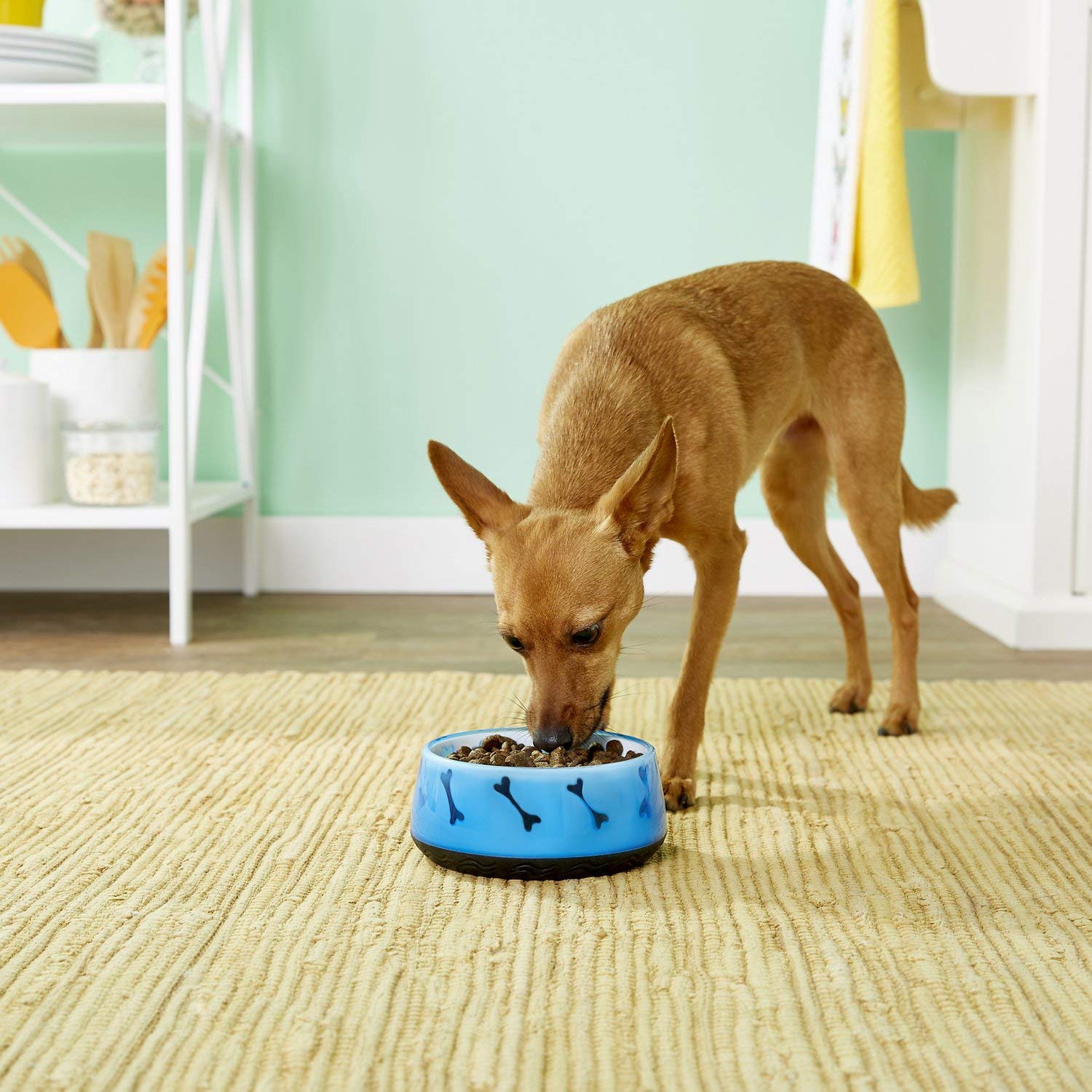 Cuenco para Perro Dogit Azul Antideslizante sin BPA