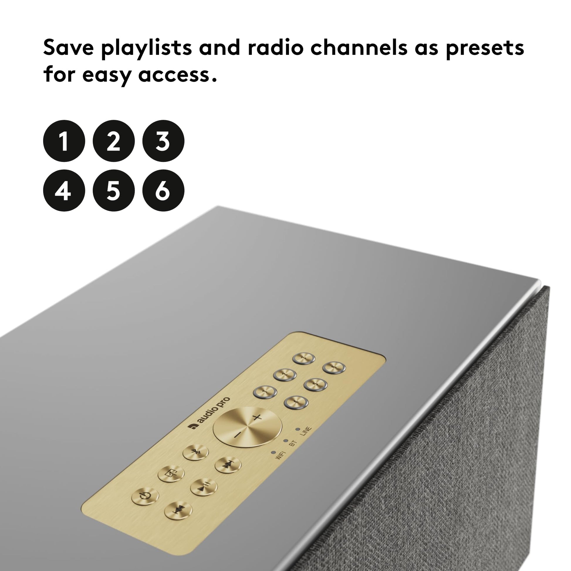 Audio Pro Addon - Altavoz Bluetooth - Altavoz inalámbrico con sonido de alta fidelidad - Altavoces para exteriores, WiFi, AirPlay 2, Chromecast, Spotify Connect, C10 MKII, gris