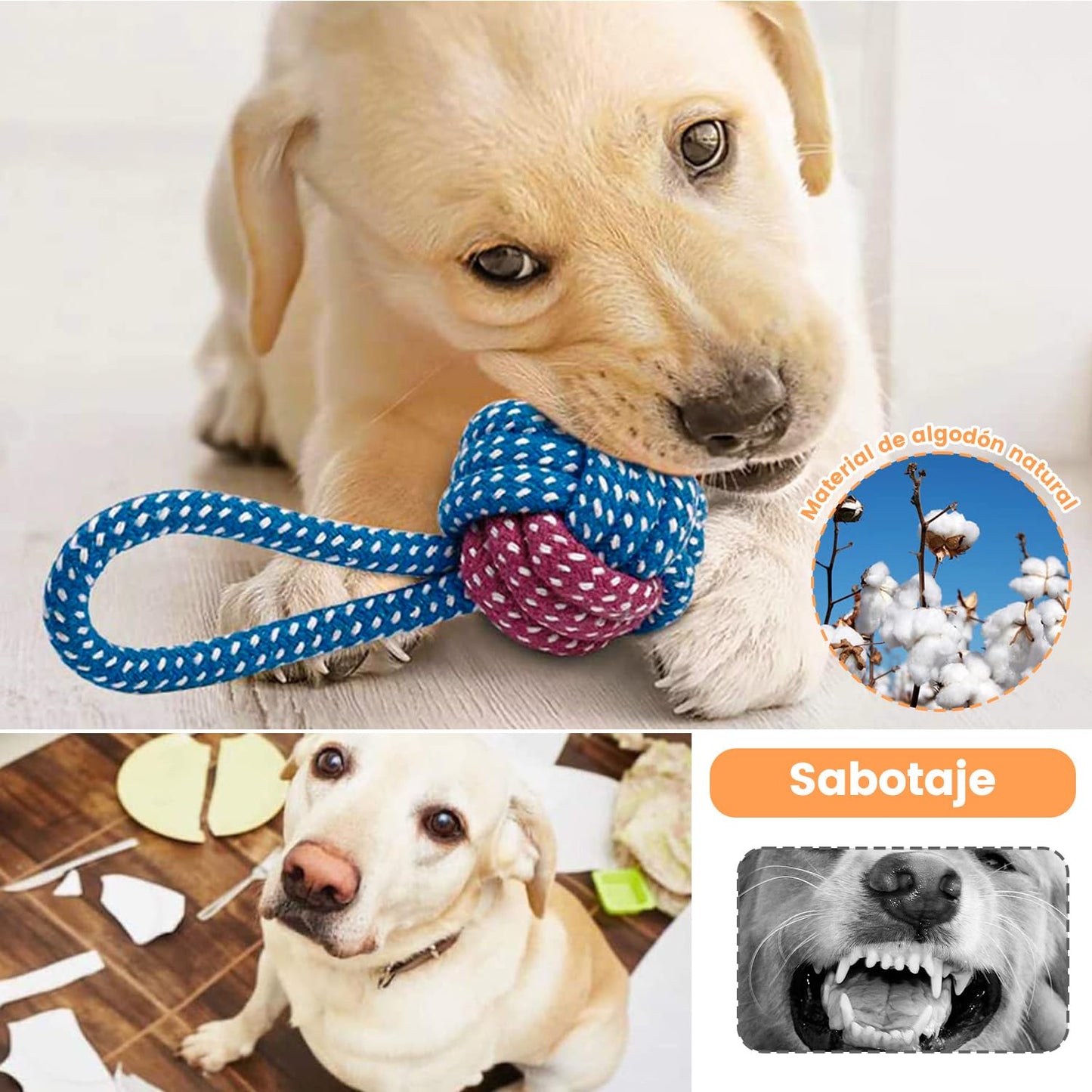 Juguete de cuerda para morder perros, 7pcs juguetes para perros pequeños, lindos juguetes para perros que chirrían ternera, juguetes duraderos para dentición cachorros, cuerdas para masticar cachorro