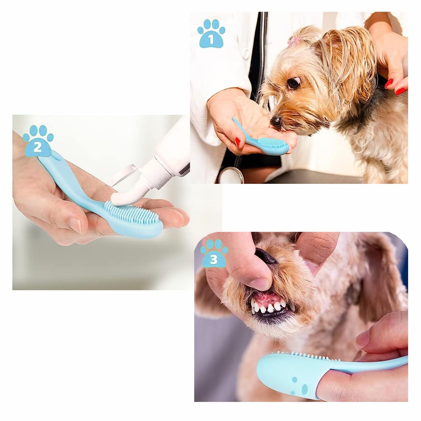 Pet Republique - cepillo para polvo de dientes con mango para perros y gatos, silicona súper suave, estilo de inserción de dedos (3 unidades), Gris, Azul, Rojo