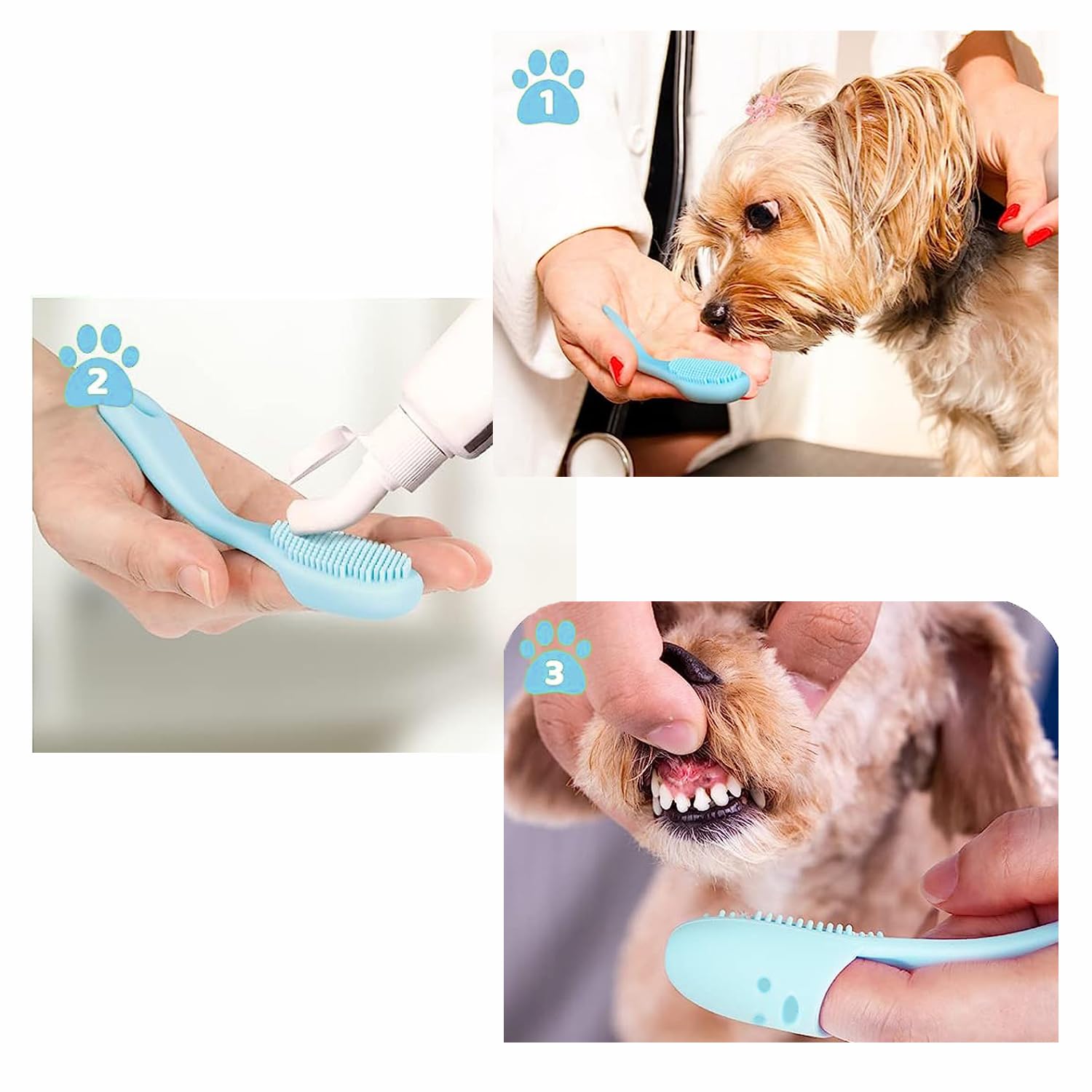 Pet Republique - cepillo para polvo de dientes con mango para perros y gatos, silicona súper suave, estilo de inserción de dedos (3 unidades), Gris, Azul, Rojo