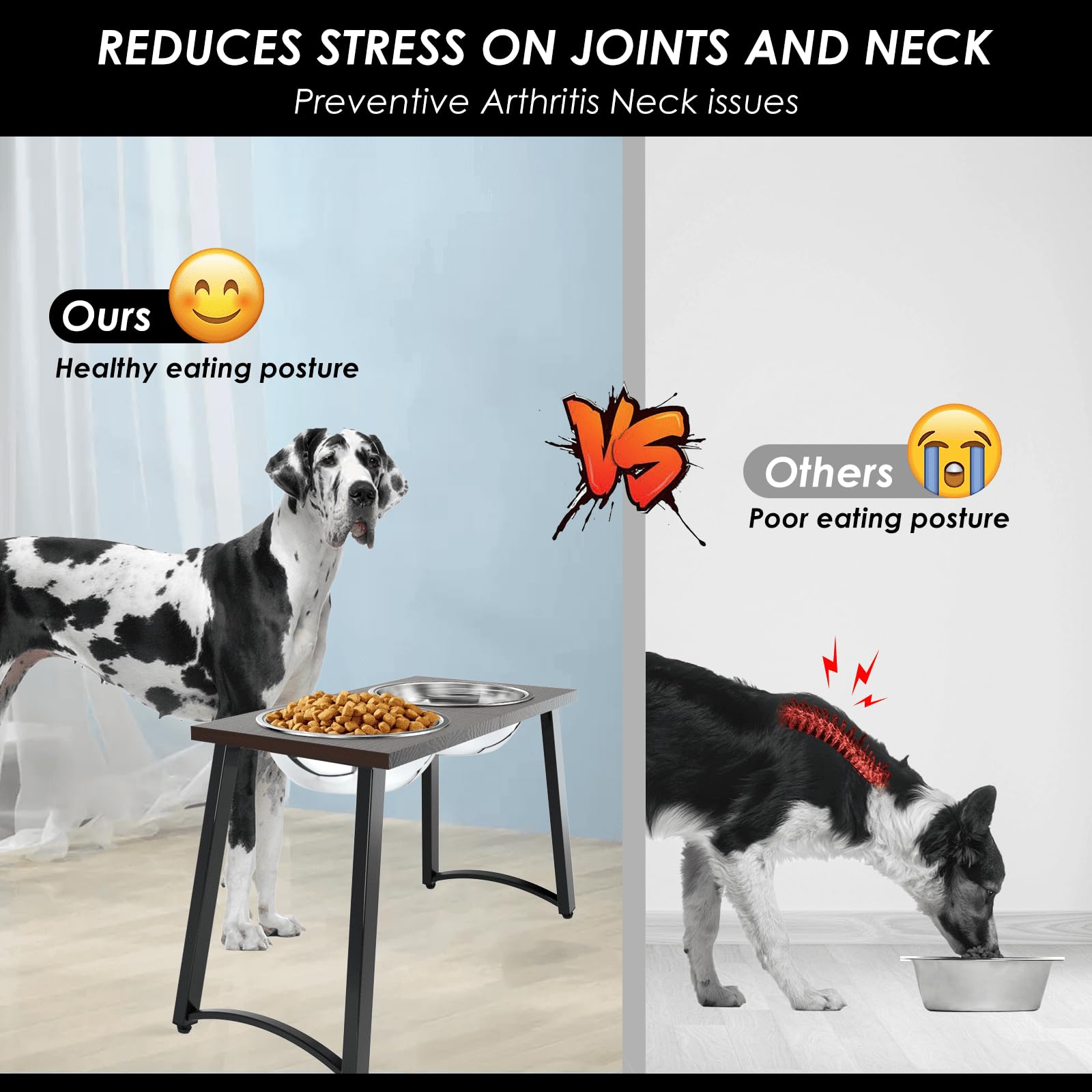 Cuencos Elevados TIDANT Acero Inoxidable Extra Grandes para Perros