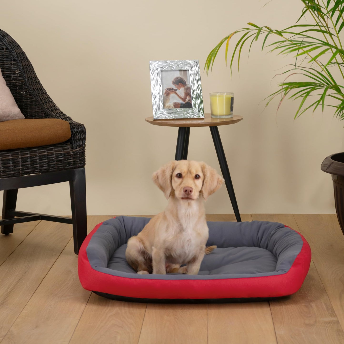 Cama para Perro Hills Fucsia Gris Resistente Confortable Medium