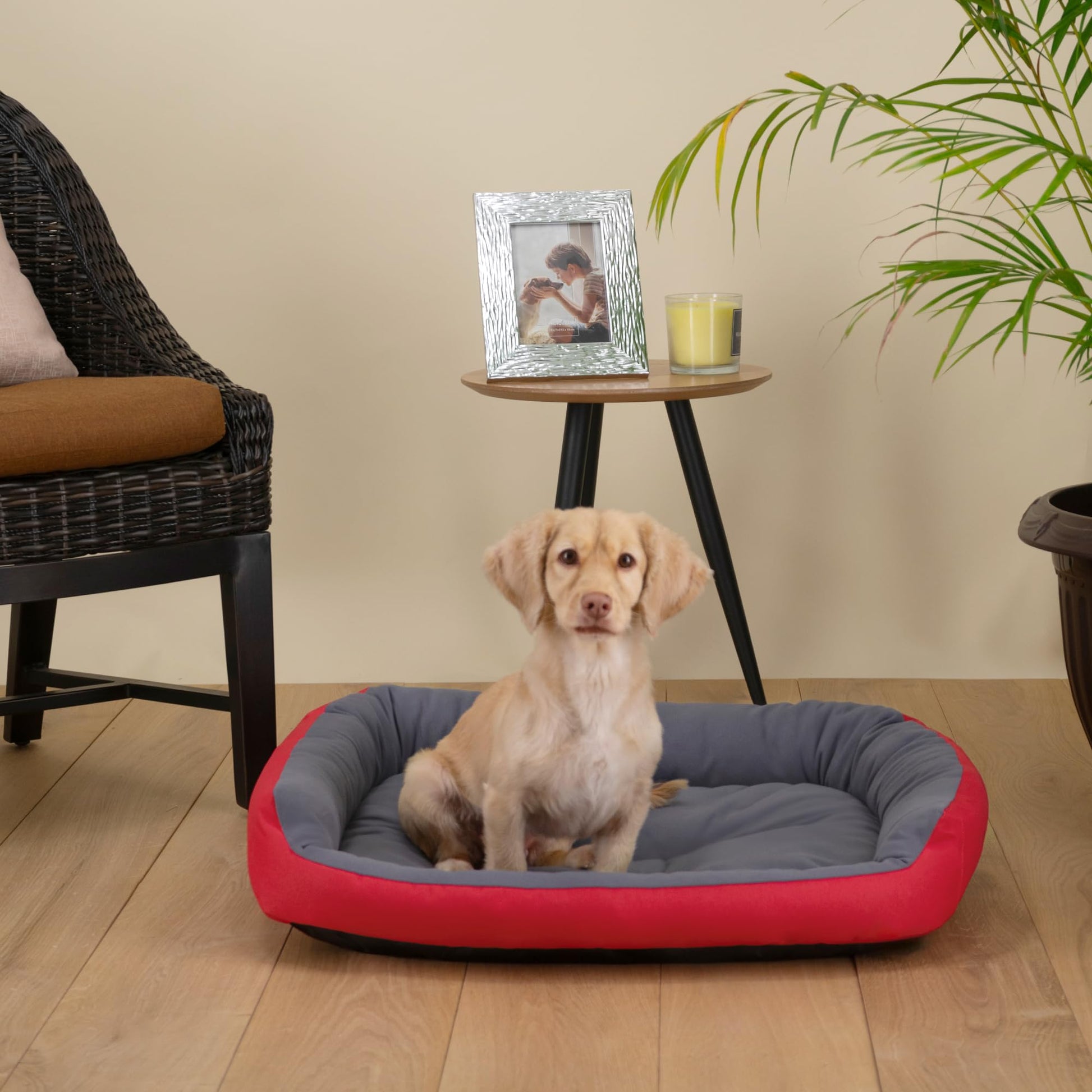 Cama para Perro Hills Fucsia Gris Resistente Confortable Medium