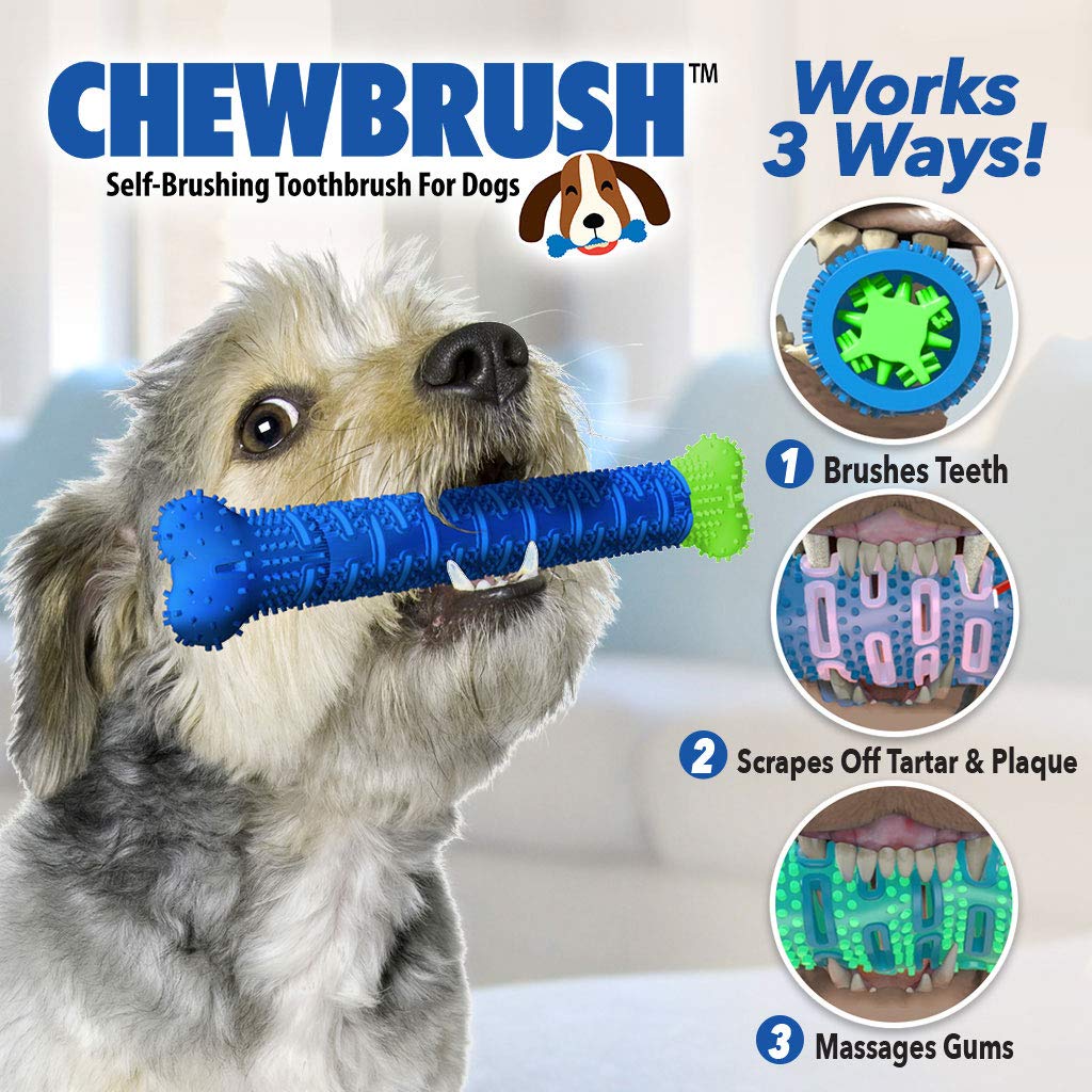 BulbHead cepillo para polvo de dientes para perro y cepillo para polvo de dientes – No requiere pasta dental de perro – Gran juguete de limpieza de dientes de perro, 1 paquete, 1 paquete