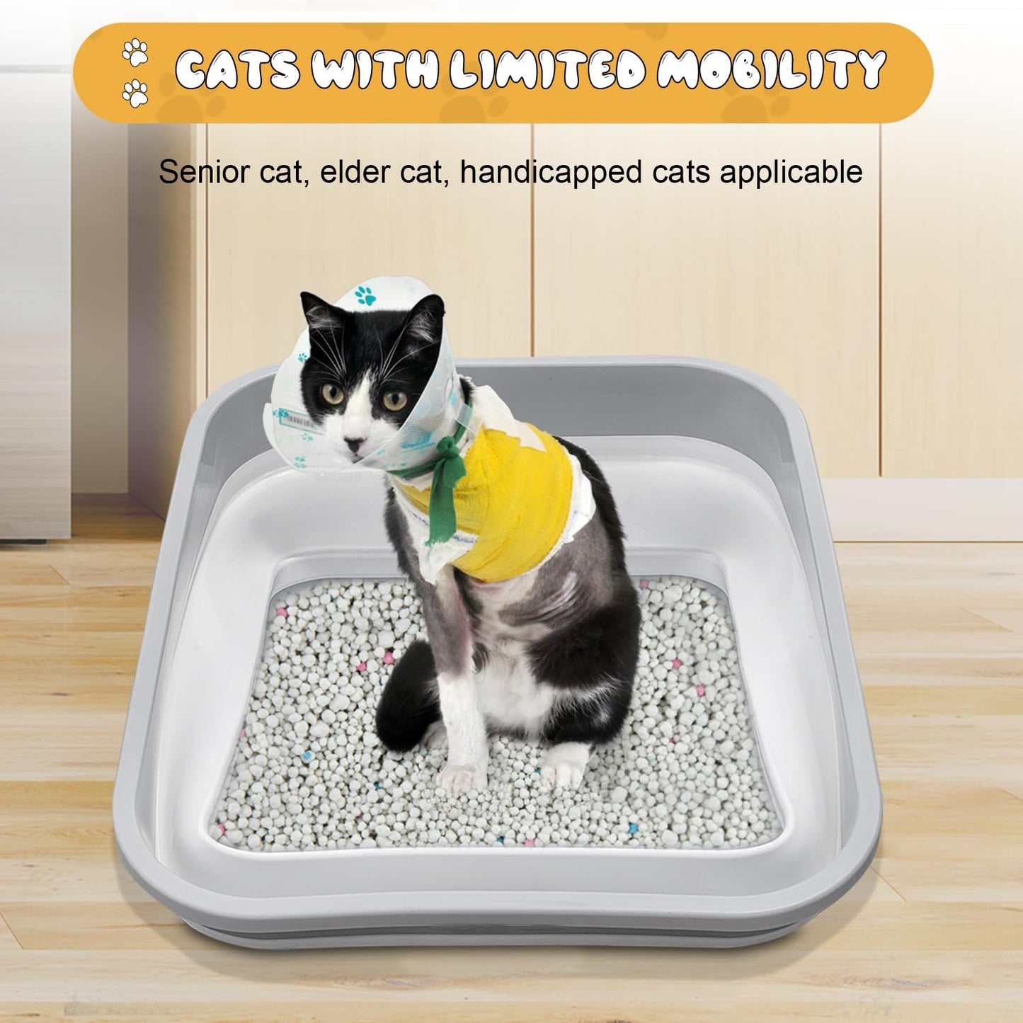 Maohegou Caja de arena para gatos mayores, artríticos, enfermos y frágiles discapacitados, baja entrada, caja de arena abierta para gatos mayores (un paquete)