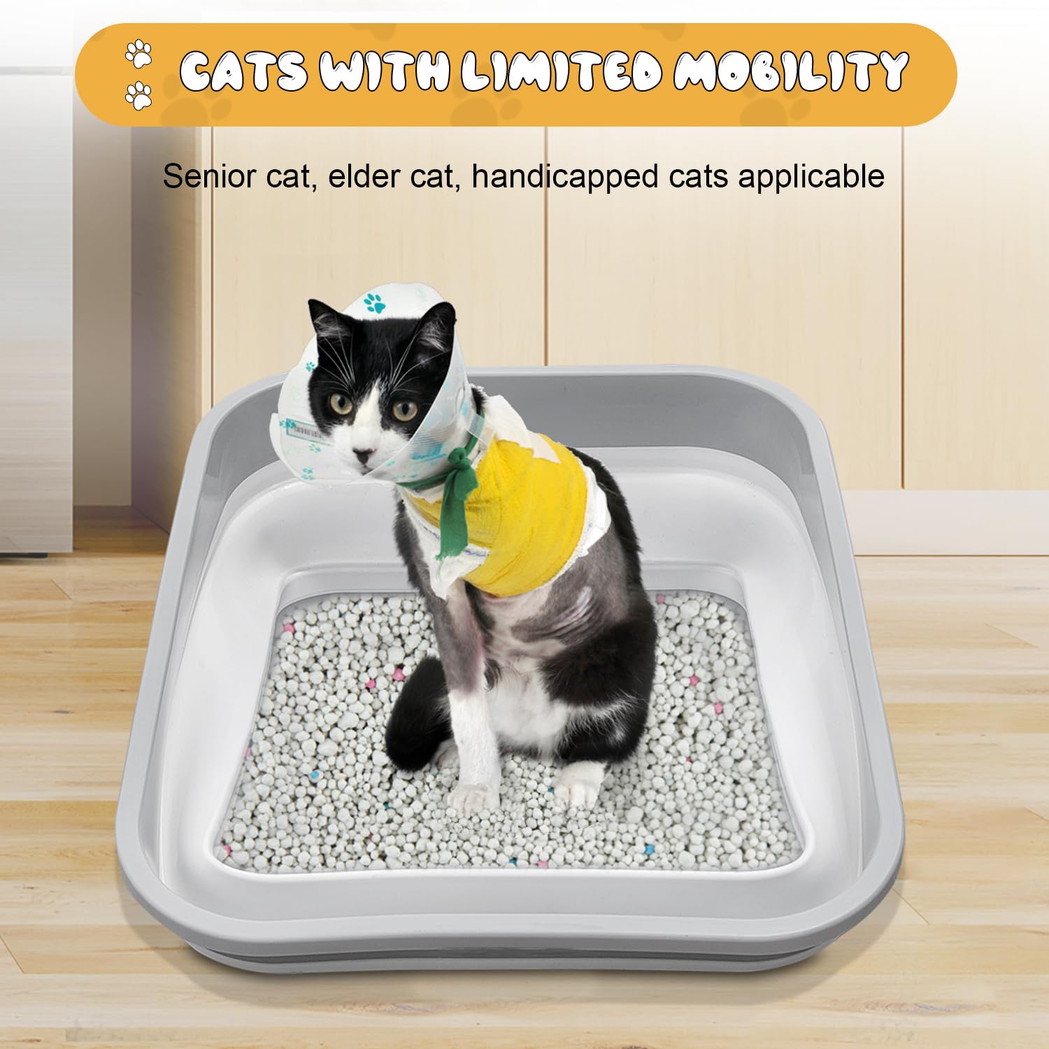 Maohegou Caja de arena para gatos mayores, artríticos, enfermos y frágiles discapacitados, baja entrada, caja de arena abierta para gatos mayores (un paquete)
