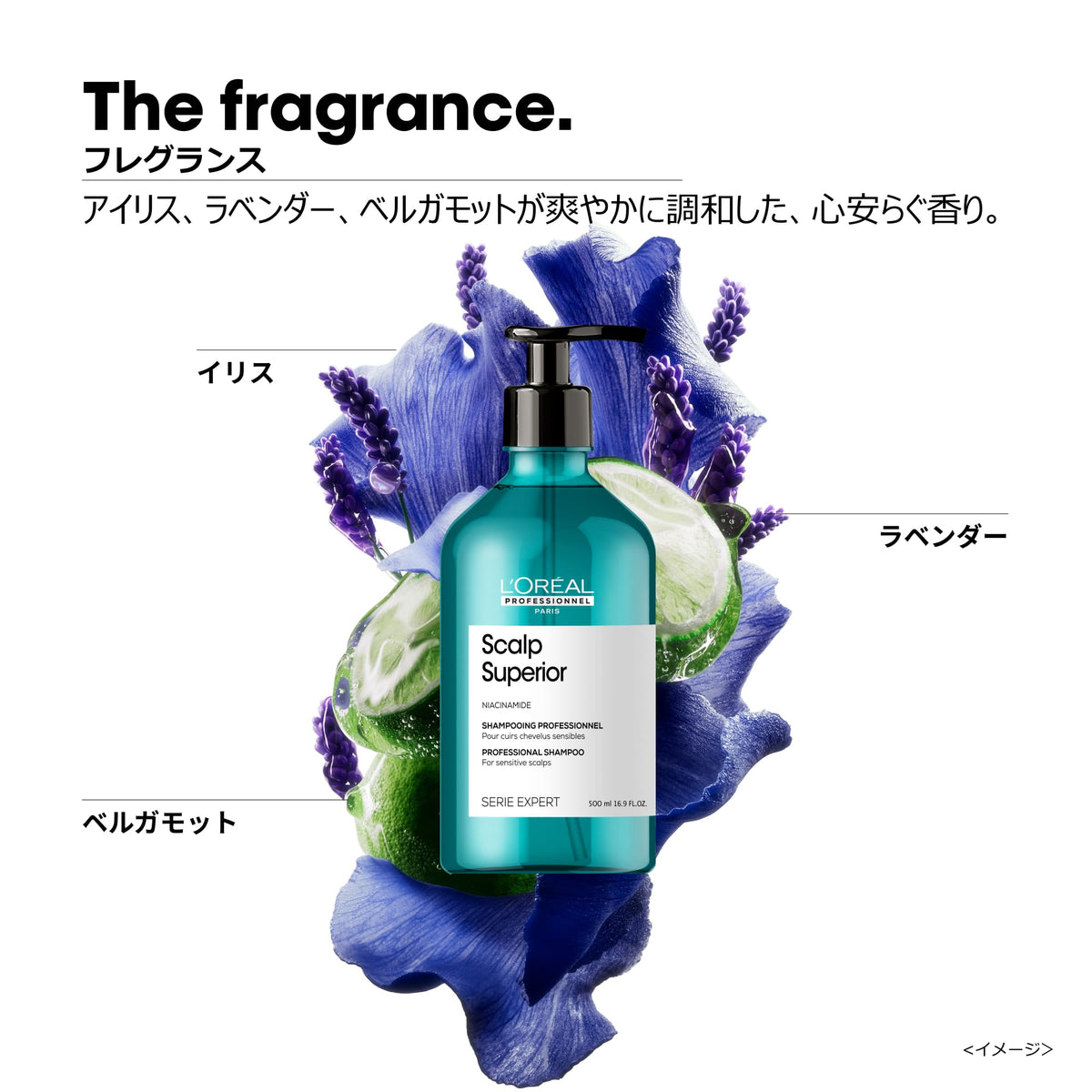 L'Oréal Professionnel |Scalp Advanced |Shampoo Sensibilidad