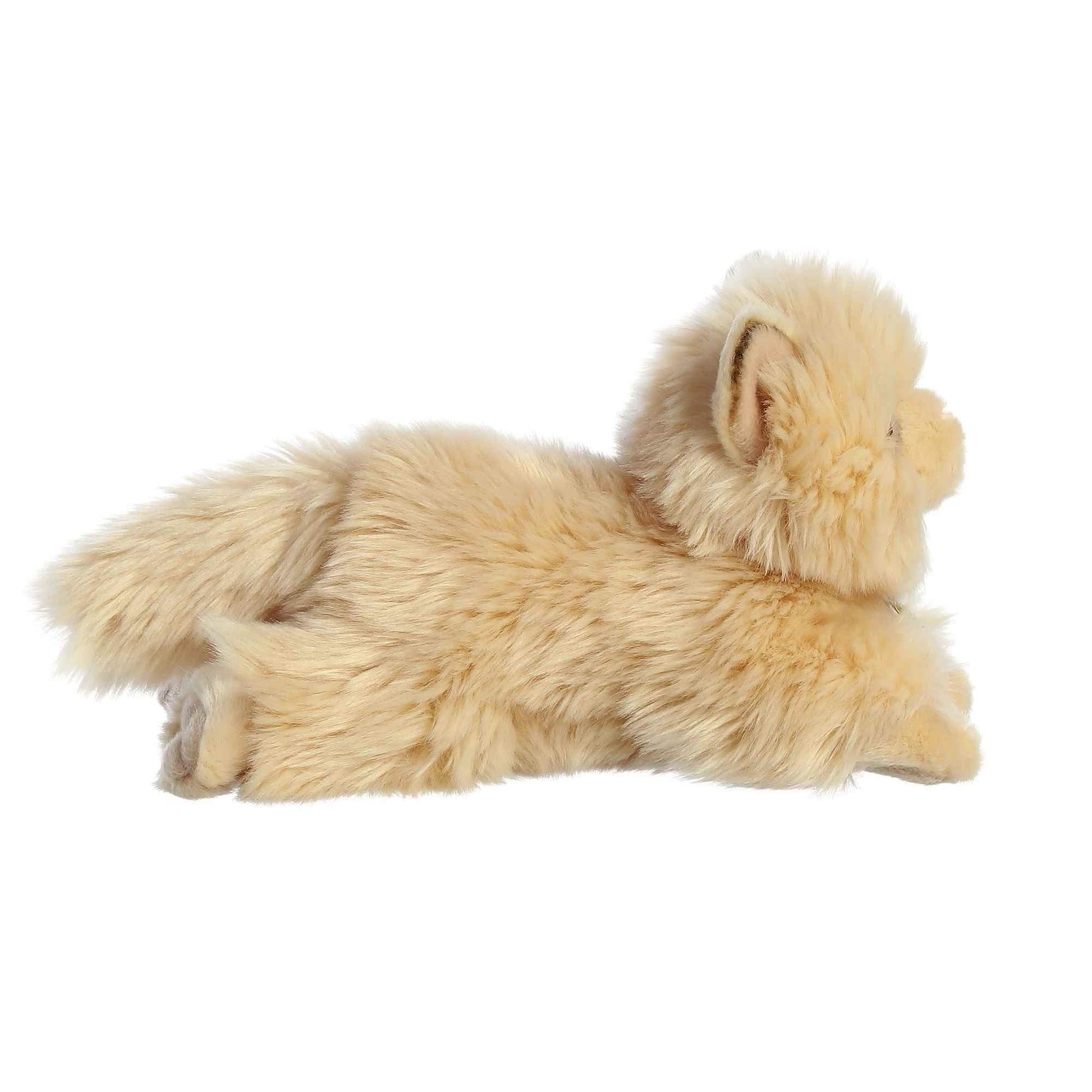Gato Persa TheMogan Aurora Miyoni 21.59cm