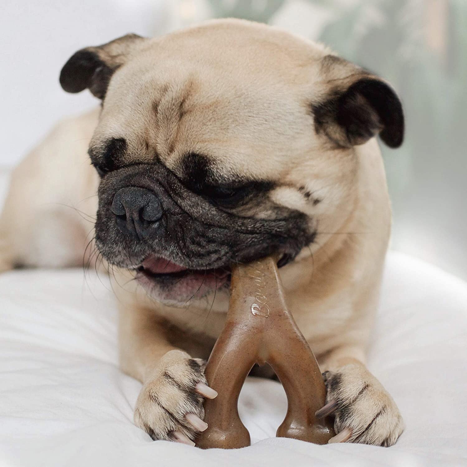 Benebone MINI Bacon Flavored Wishbone Chew Toy