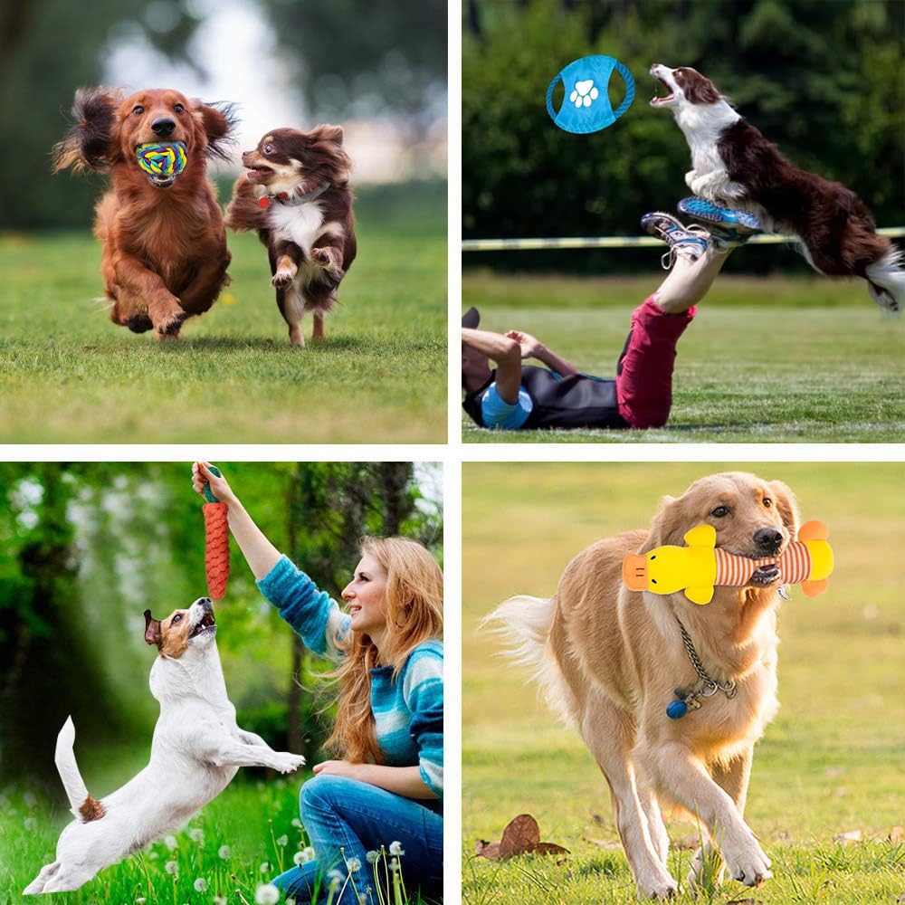 Juguetes para Perros Pequeños 15 Piezas, Juguetes Cuerda para Perro Morder con Nudo, Cuerdas Duraderos para Masticar Cachorro, Juego de Juguetes para Perros Limpiar Dientes y Alivia el Estrés