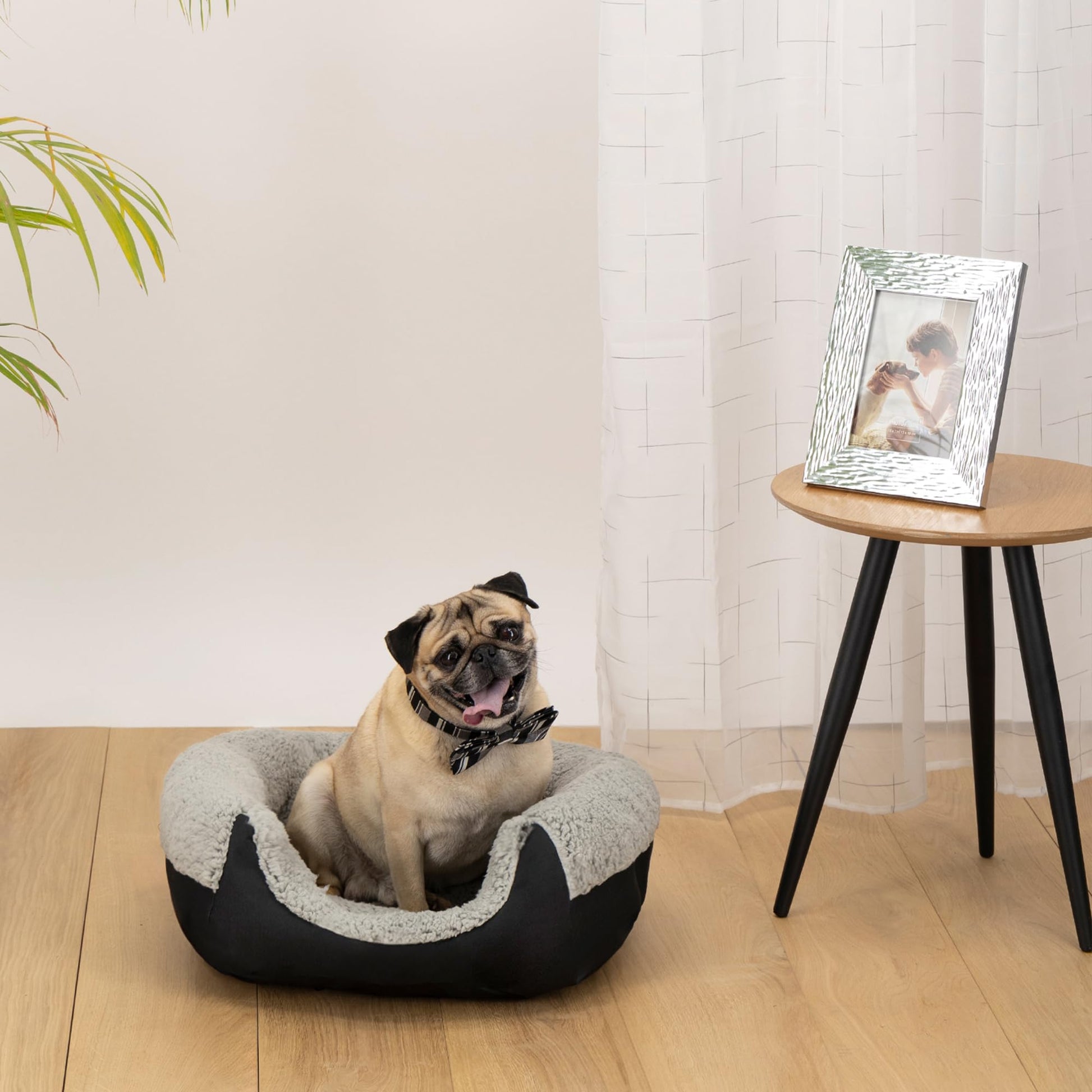 Cama para Perro PETS APPAREL HILLS Negra con Forro acolchonado Small