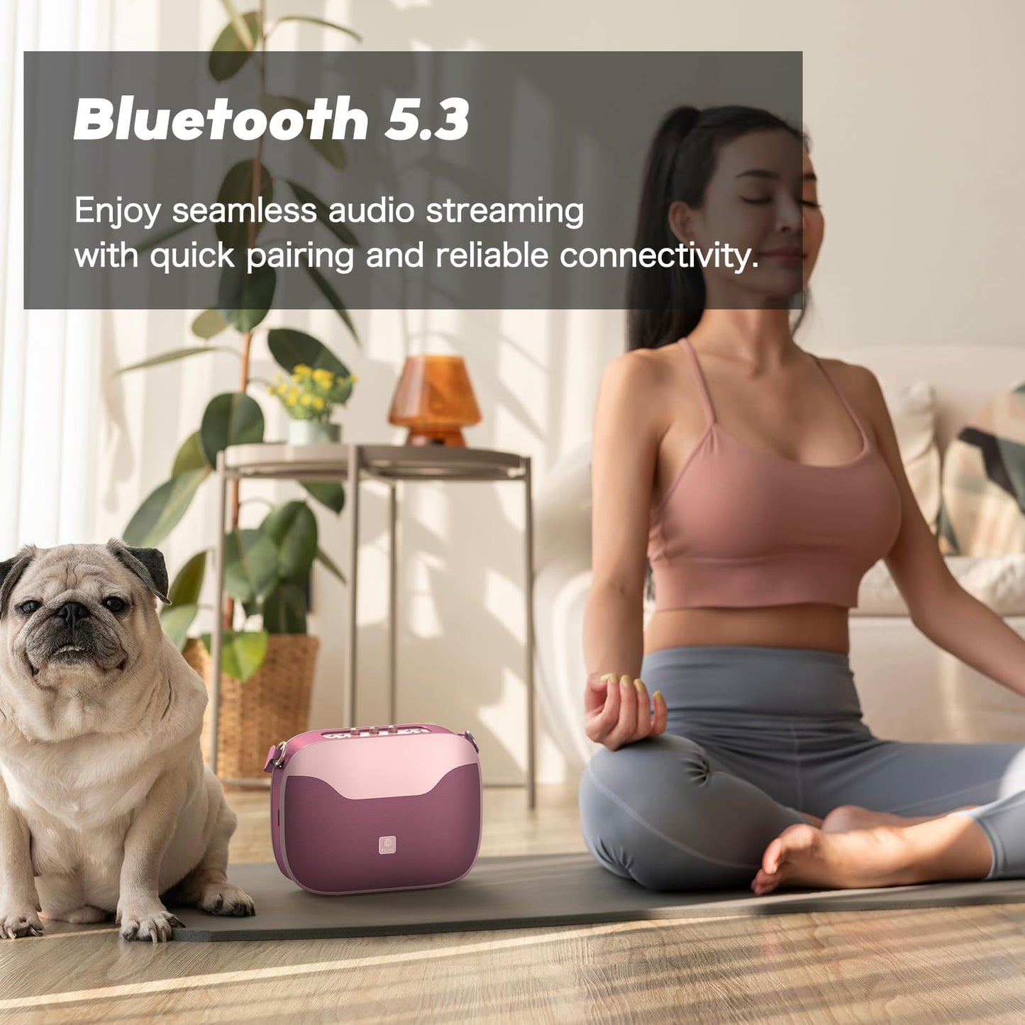 DOSS SoundBox H100 - Altavoz doméstico