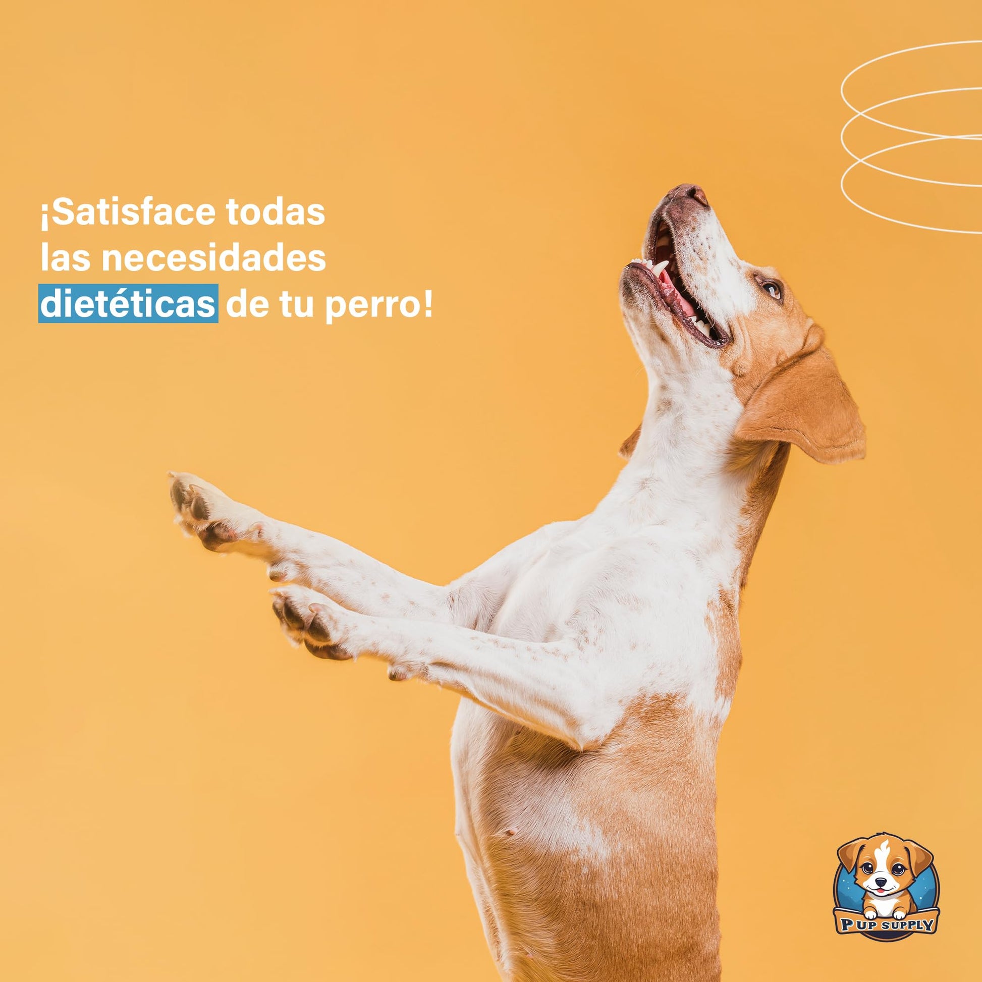 Plato para Alimentación Lenta P.U.P. SUPPLY Azul Claro para Perro y Mascotas