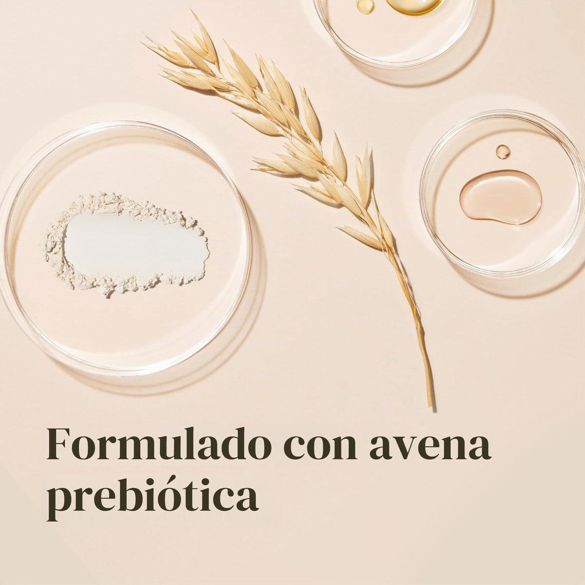 Aveeno Daily Moisturizing Lotion 12 oz (354 ml)