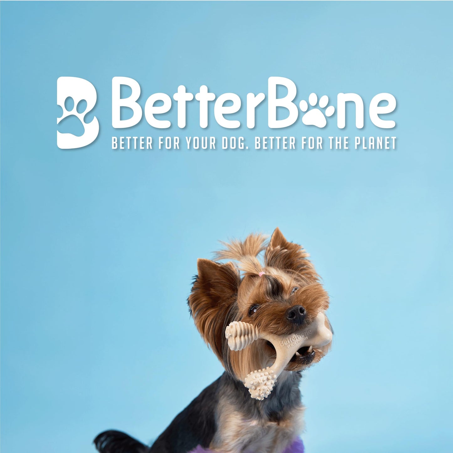 BetterBone - Juguetes masticables para perros totalmente naturales, sin nailon, densidad suave, ideal para masticadores ligeros a moderados, no tóxicos, promueve la salud dental, resistente a las