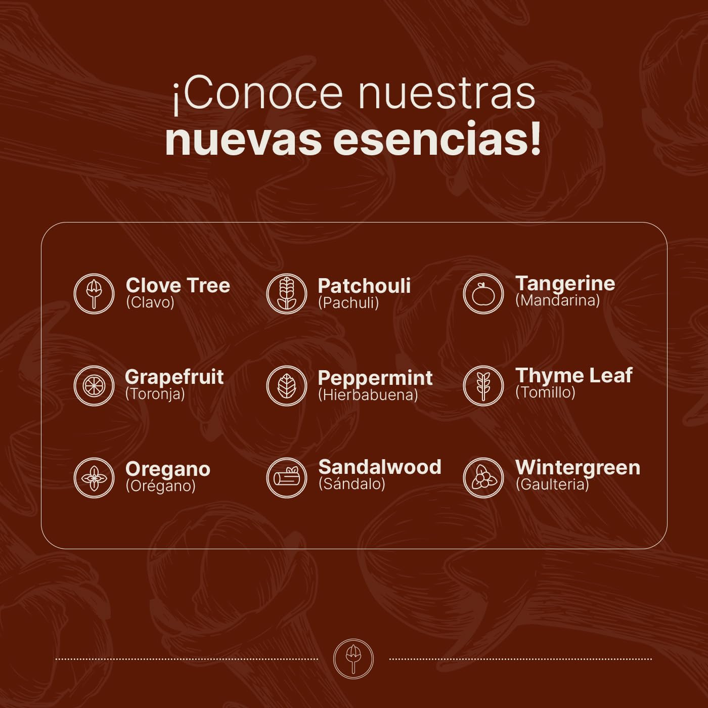 Aceite Esencial B Life Clavo Ingredientes Puros 50 ml