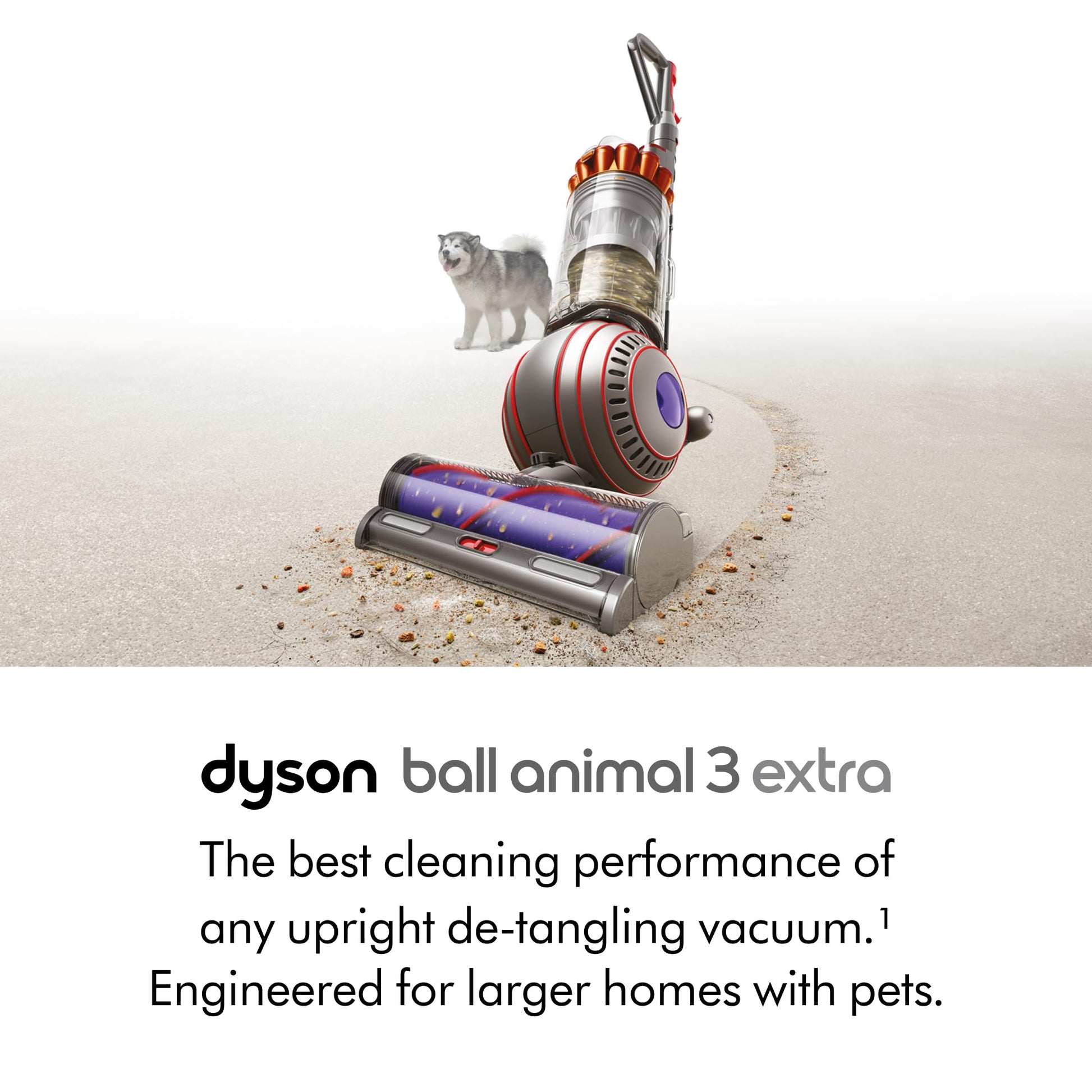 Dyson Ball Animal 3 Aspiradora Vertical Extra