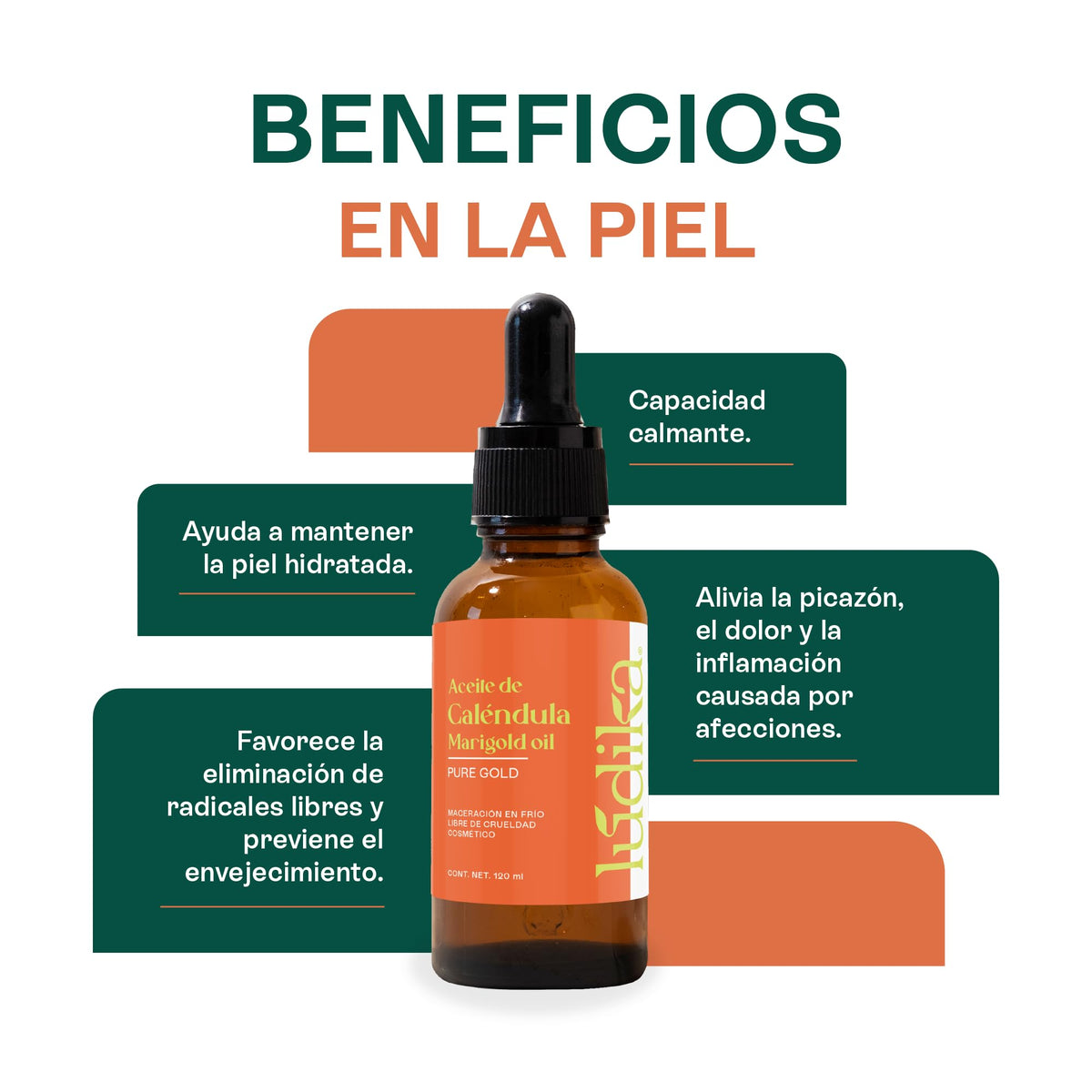 HEBBE Aceite de Caléndula 120 ml | Calma Post Exposición Solar | Prensado En Frío Uso Cosmético | Ideal Para Piel Sensible