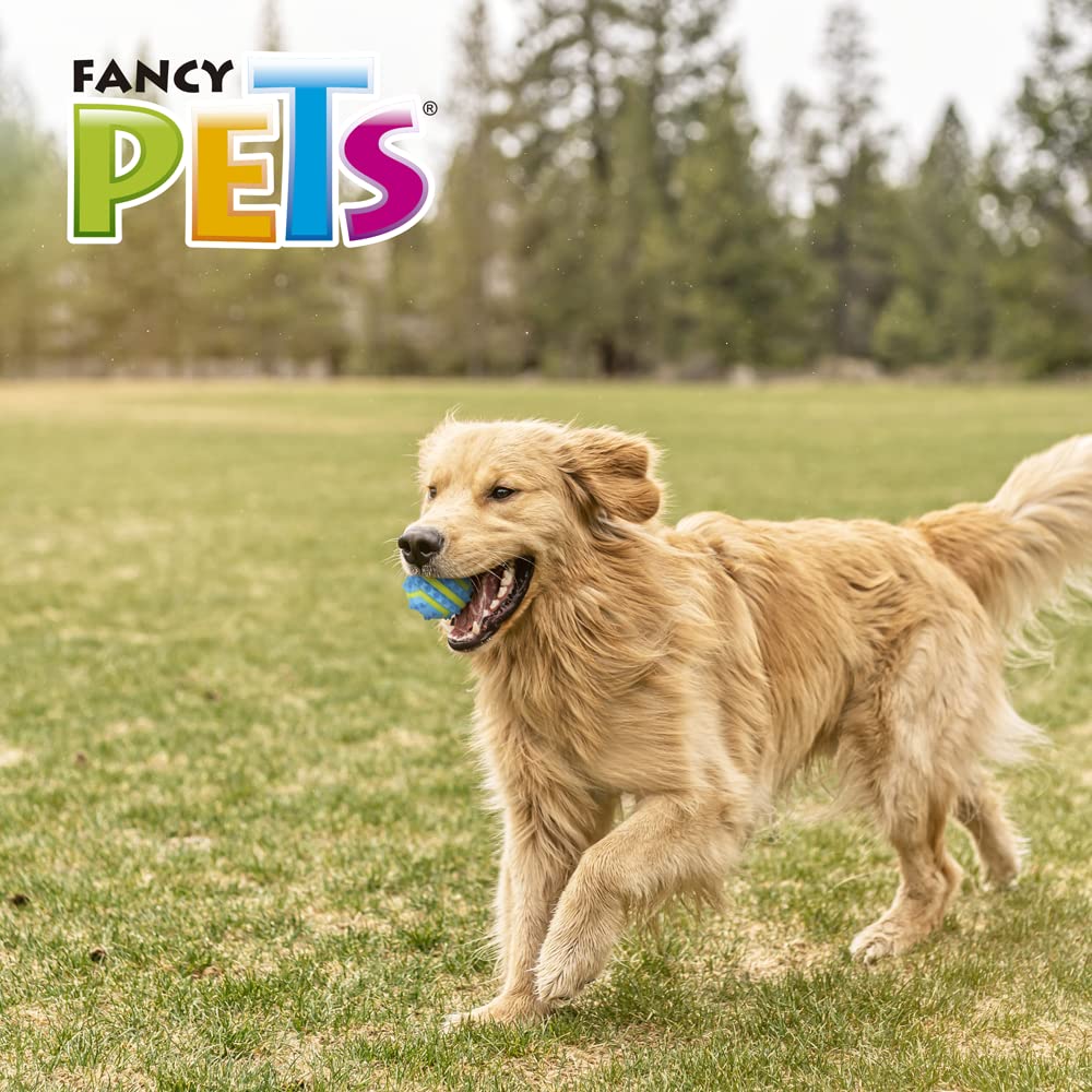 Fancy Pets Pelota Fetch Spiky Color Azul Tamaño Grande para Perro