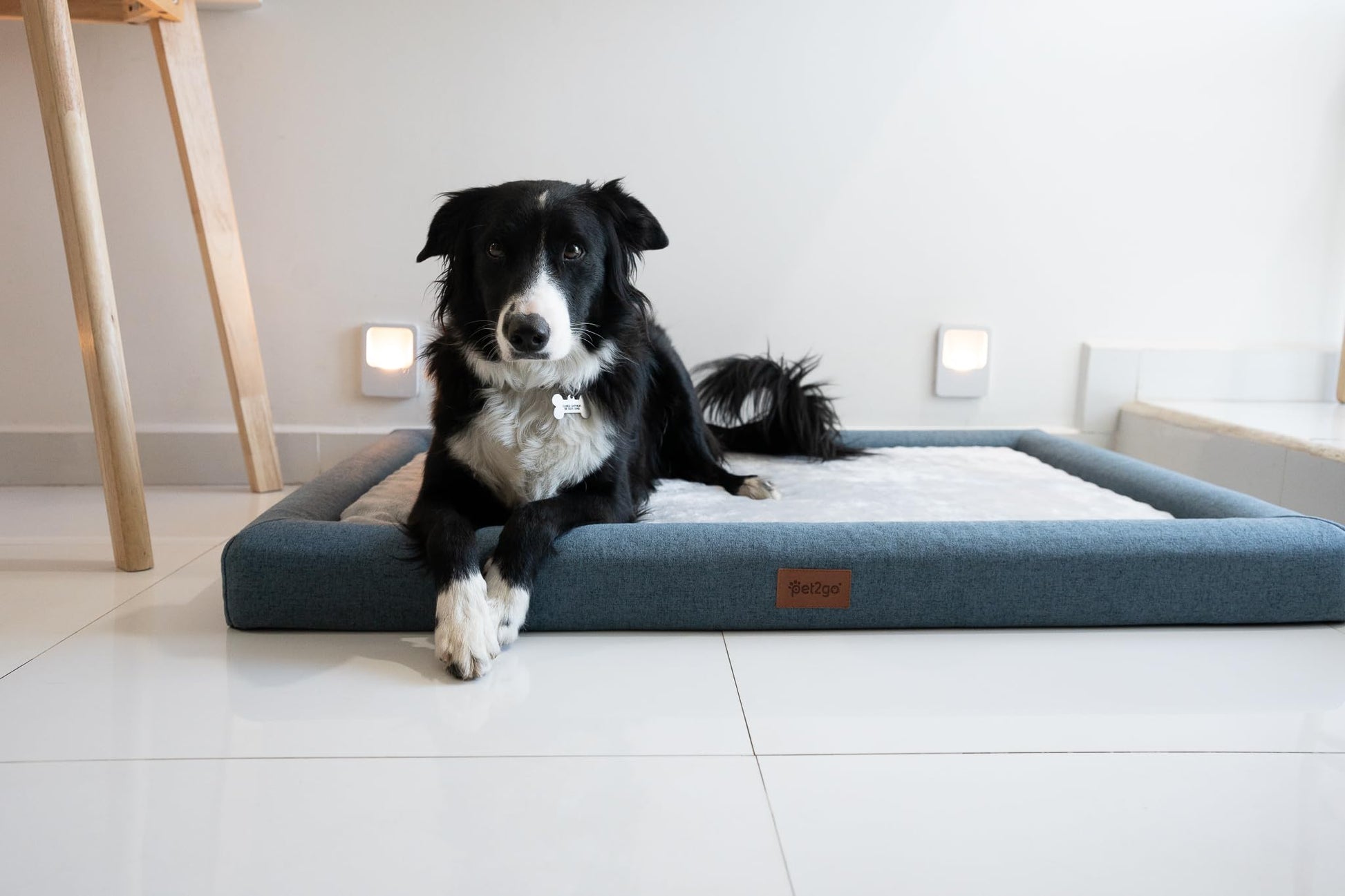 Cama Ortopédica para Mascota pet2go Gris Claro Funda Removible Tamaño X-Large