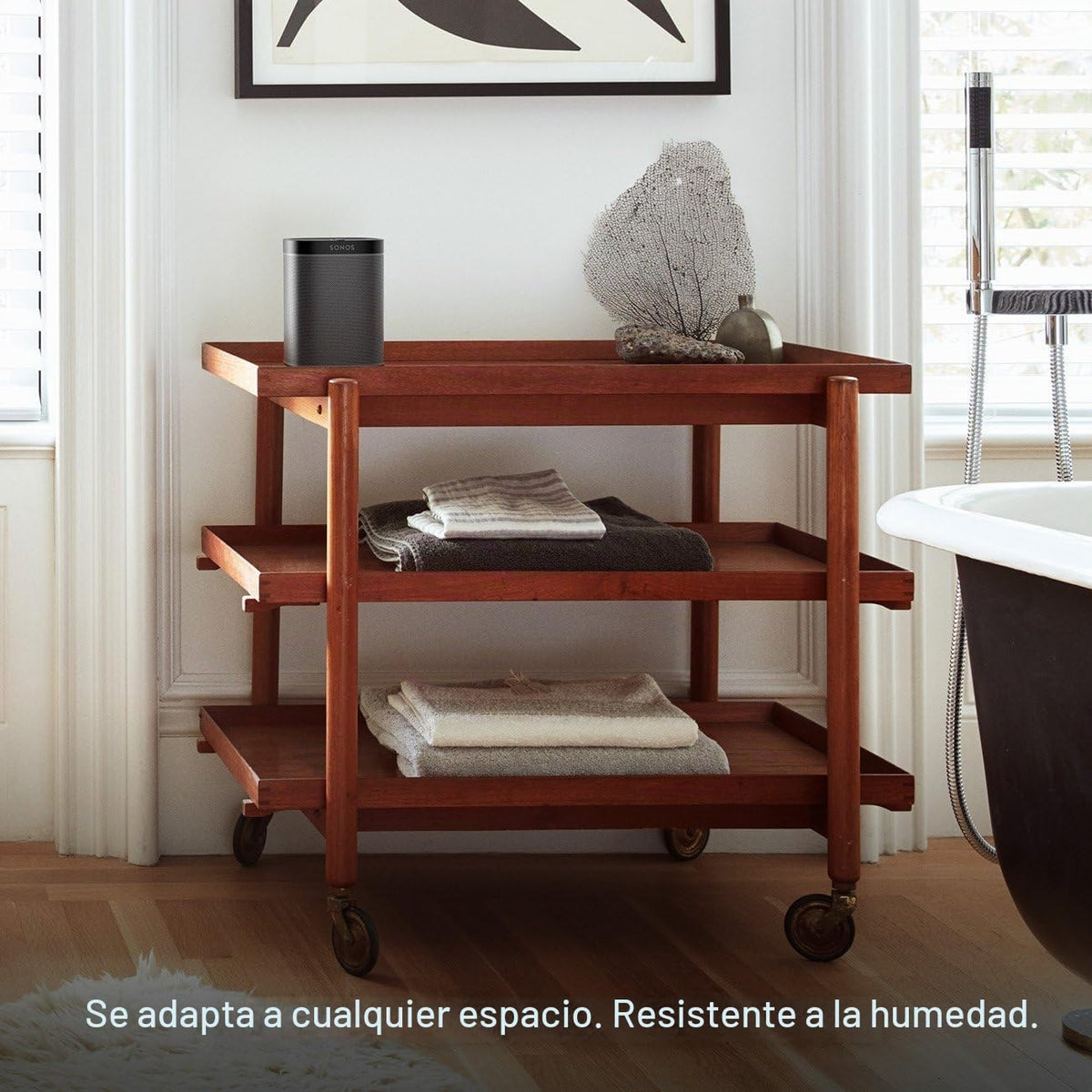 Altavoz Inalámbrico Sonos Negro Compacto Reacondicionado Compatible con Alexa