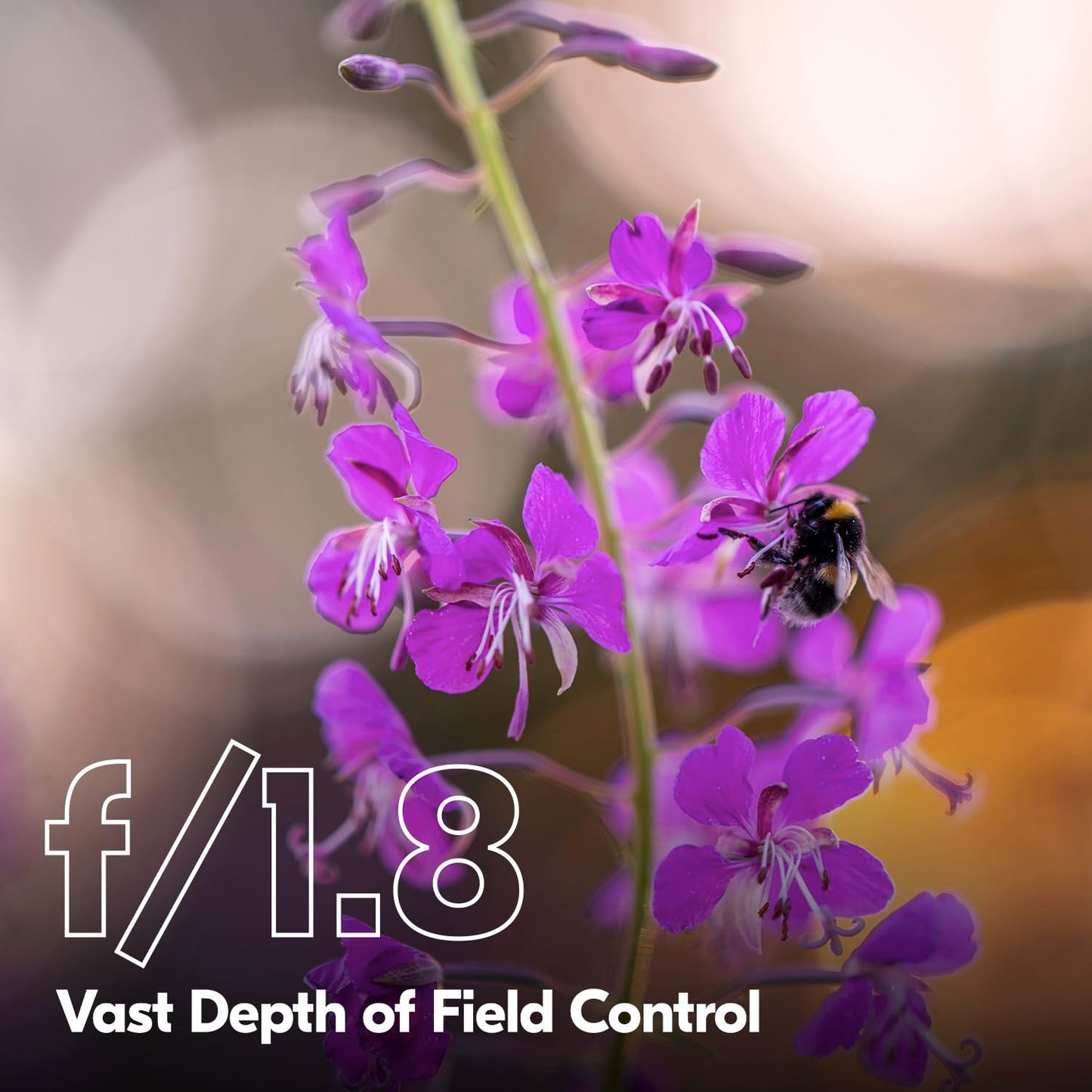 Lente Nikon Z 135mm f/1.8 S Plena