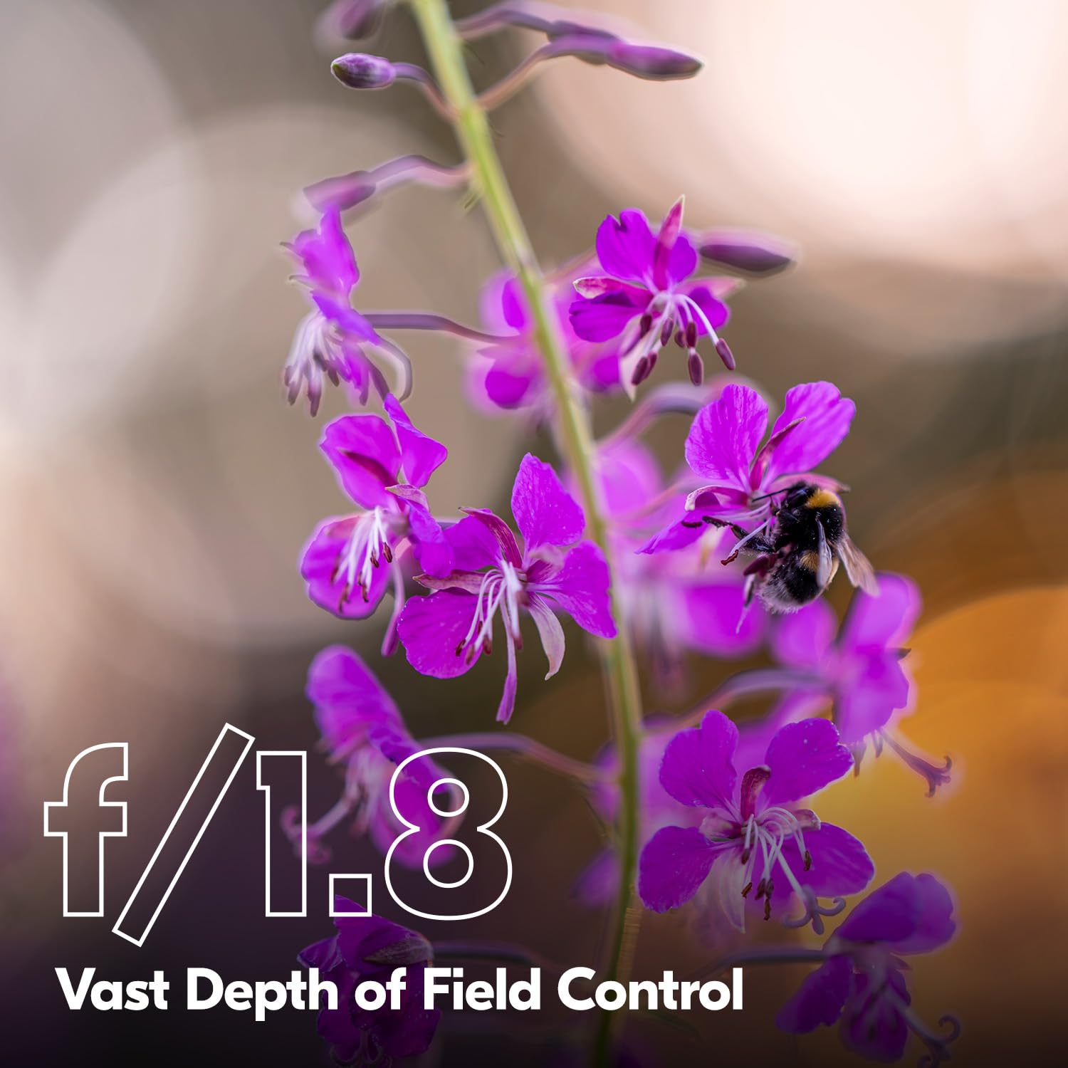 Lente Nikon Z 135mm f/1.8 S Plena