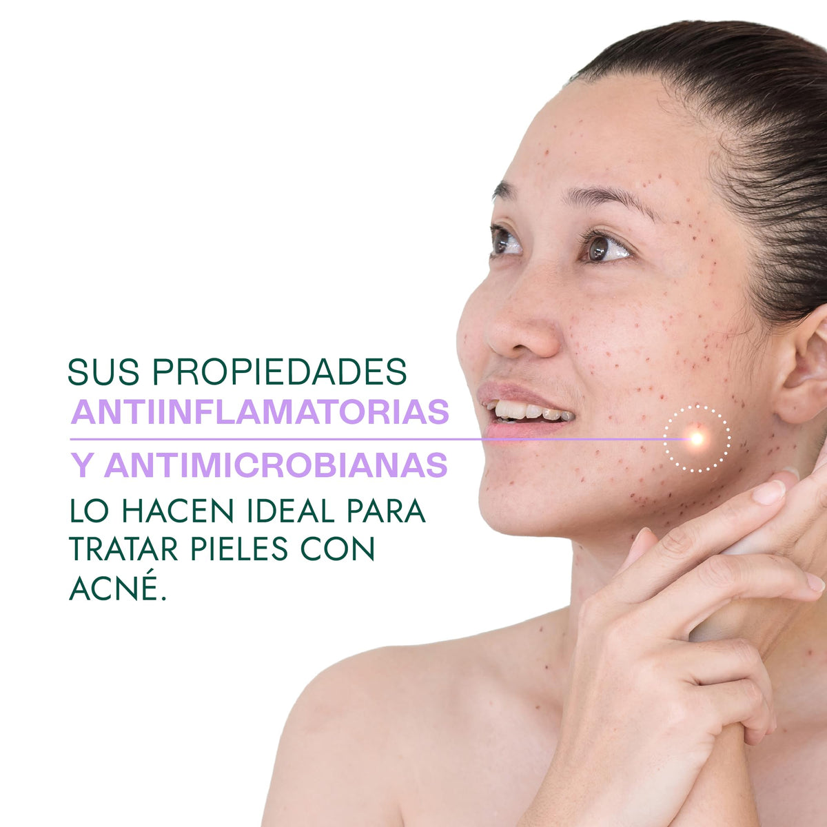 HEBBE | Aceite De Pepita De Uva 100 Ml | Antiedad Nutritivo Y Revitalizante | Rico En Antioxidantes | Ligero Y Ligeramente Astringente | Excelente Para Masajes
