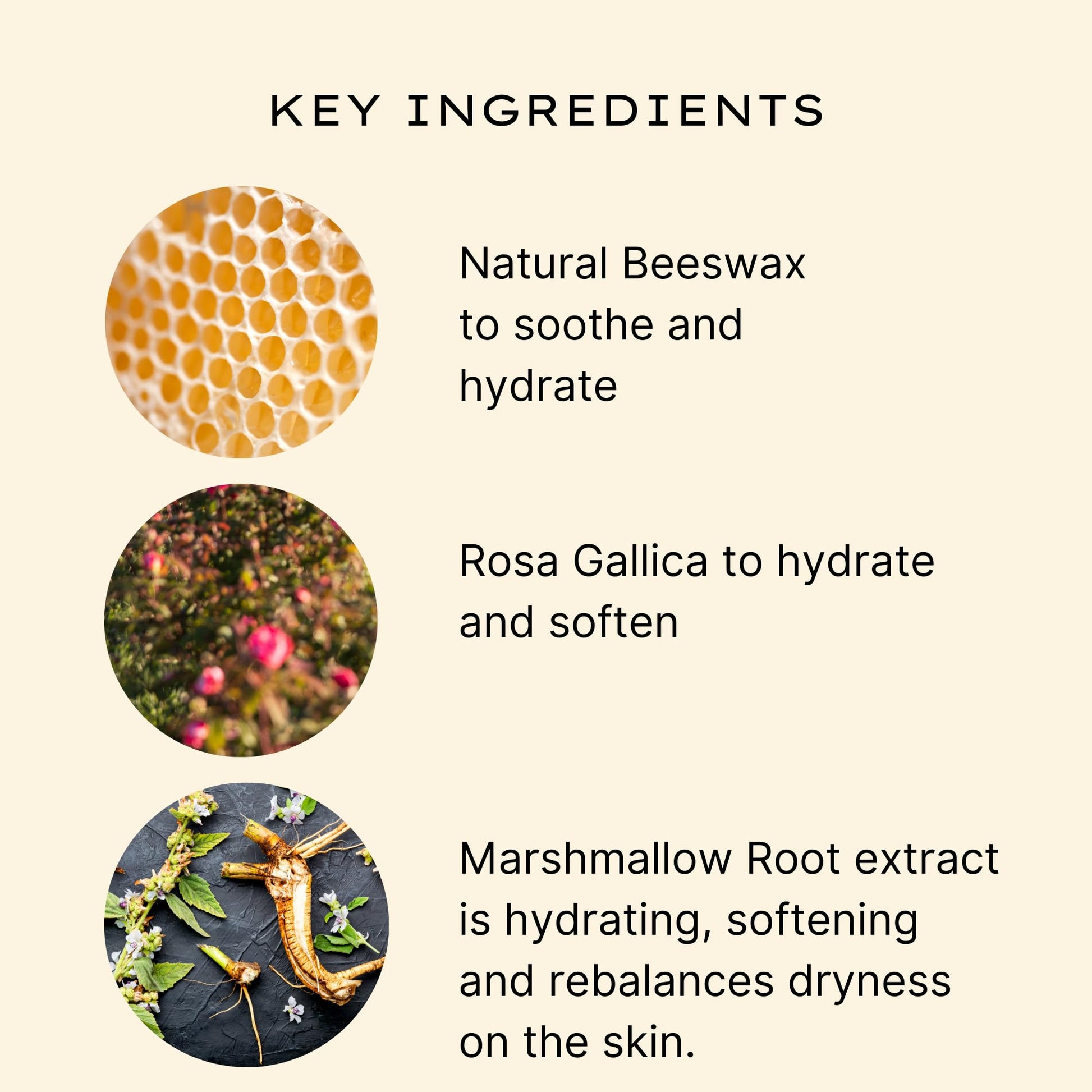 Moisturizing Lip Balm - Jurlique: Rose Love Balm - 0.5 oz - Moisturizes and Protects Dry Skin, Hydrates and Softens With Olive Oil and Safflower Seed Oil, Infused With The Natural Scent of Roses