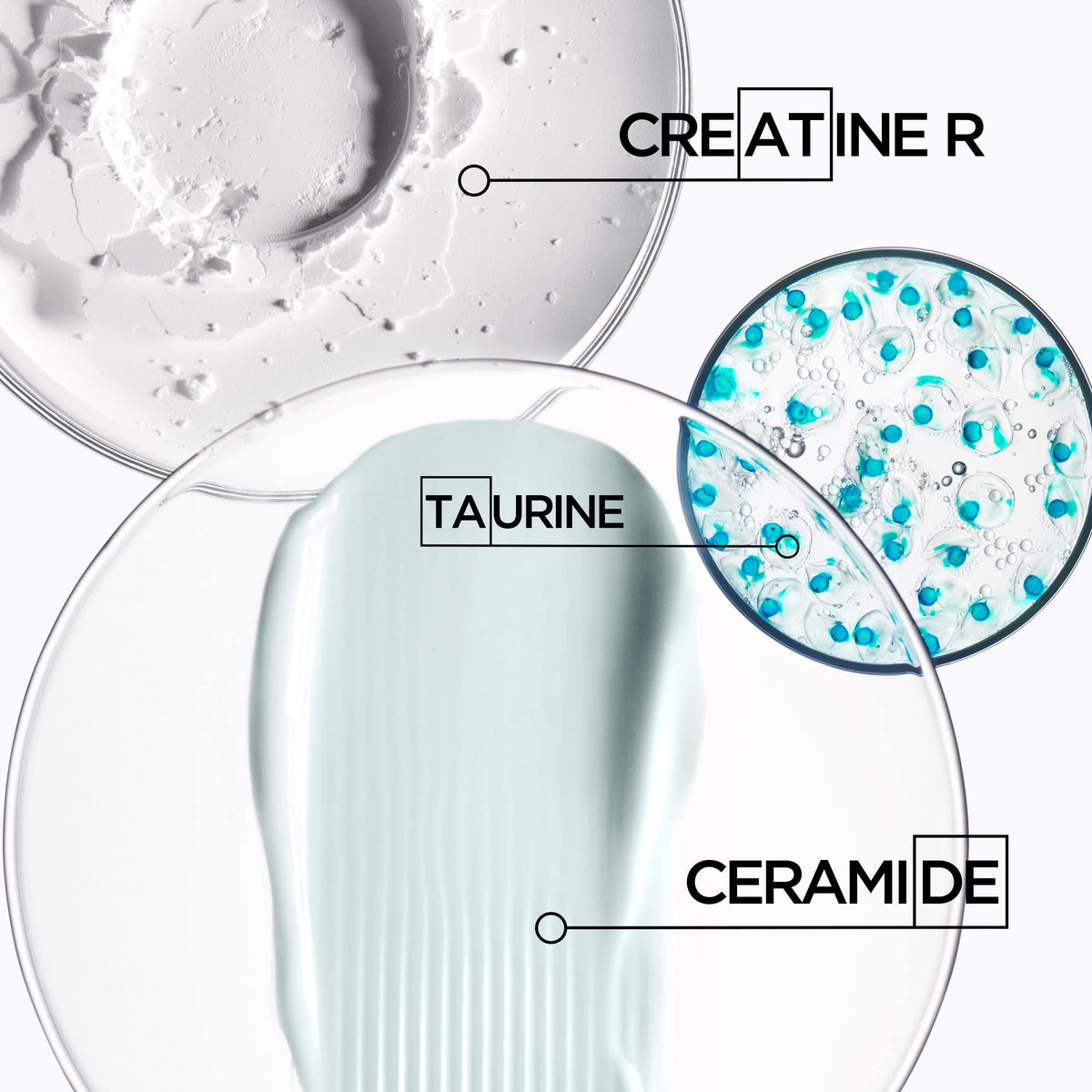 KÉRASTASE Bain Extentioniste | Shampoo Fortalecedor | Estimula el Cuero Cabelludo para Potenciar el Crecimiento y Refuerza la Fibra Capilar | Con Taurina y Creatine R | 250ml