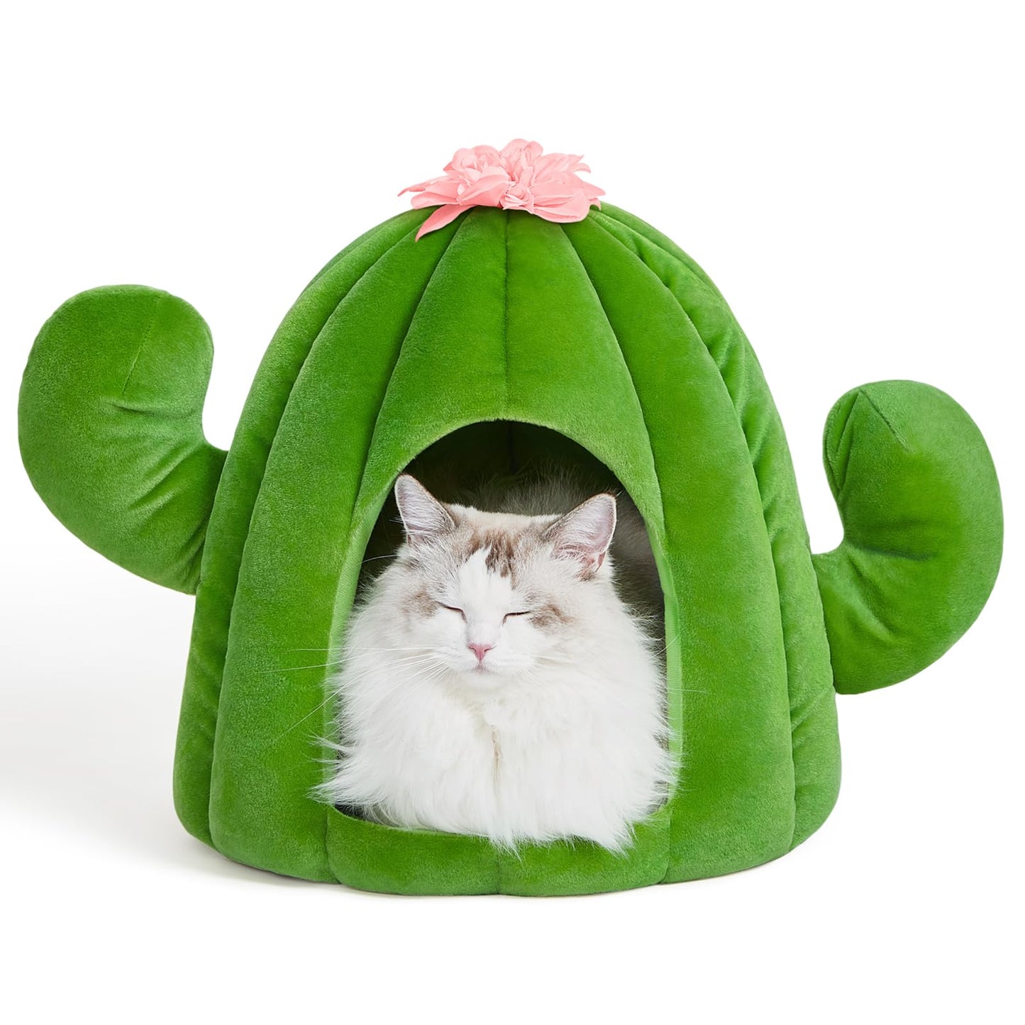 VETRESKA Bonita cama de cactus para gatos y perros, casa de cueva para gatos, cómoda cama para mascotas con cojín de rodar lavable a máquina para gatos, perros, cachorros, gatitos, conejos, cactus verde