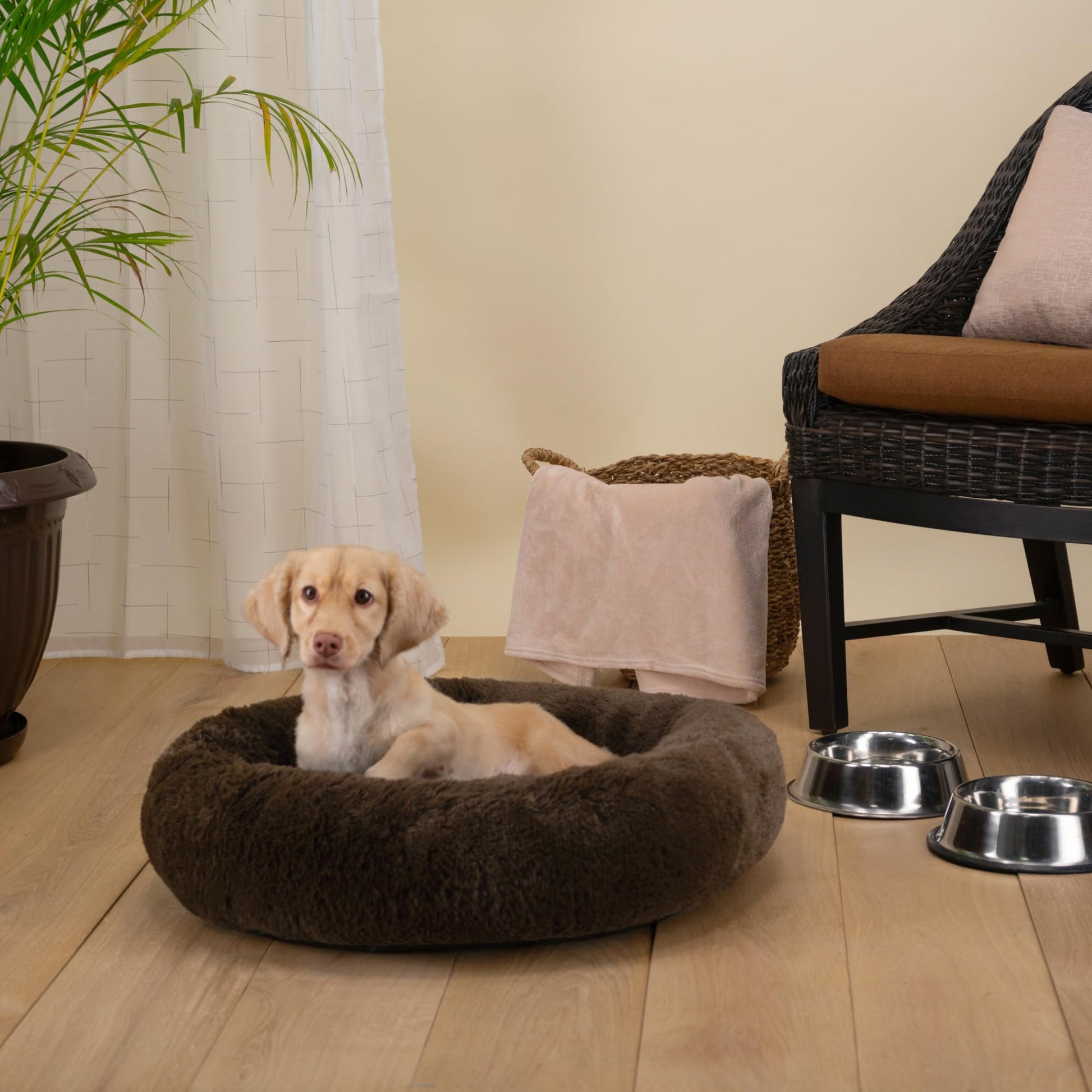 Cama para Perro Hills Cafe Tipo Dona Anti Estrés Medium