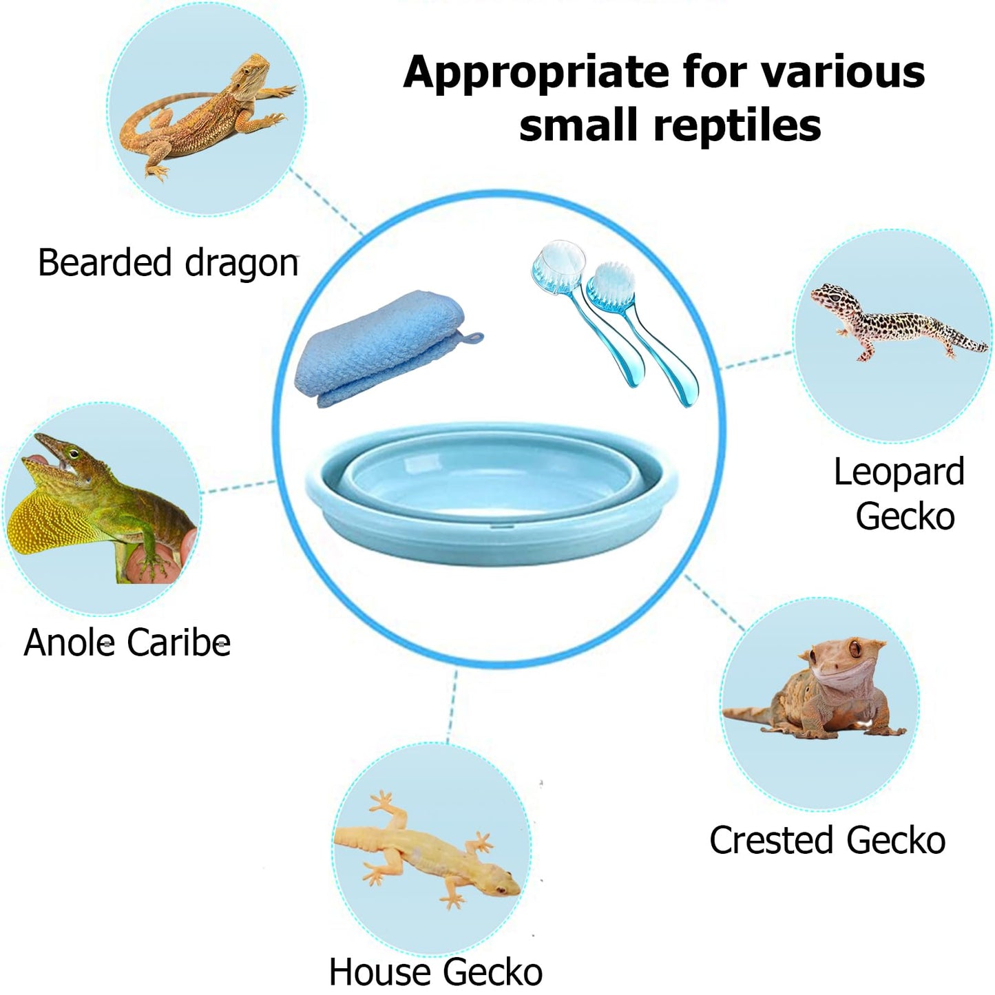 tina plegable de dragón barbudo con 2 cepillos de baño de reptil y 1 toalla de lagarto, accesorios de dragón barbudo, jacuzzi de dragón barbudo para dragón barbudo, gecko, camaleón, piscina de dragón