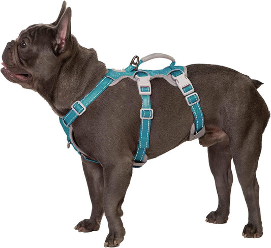Arnés para perros No Escape, arnés a prueba de escapes,arnés totalmente reflectante con asa acolchada,transpirable, chaleco ajustable para perros medianos de paseo, adiestramiento y carrera(Azul,M)