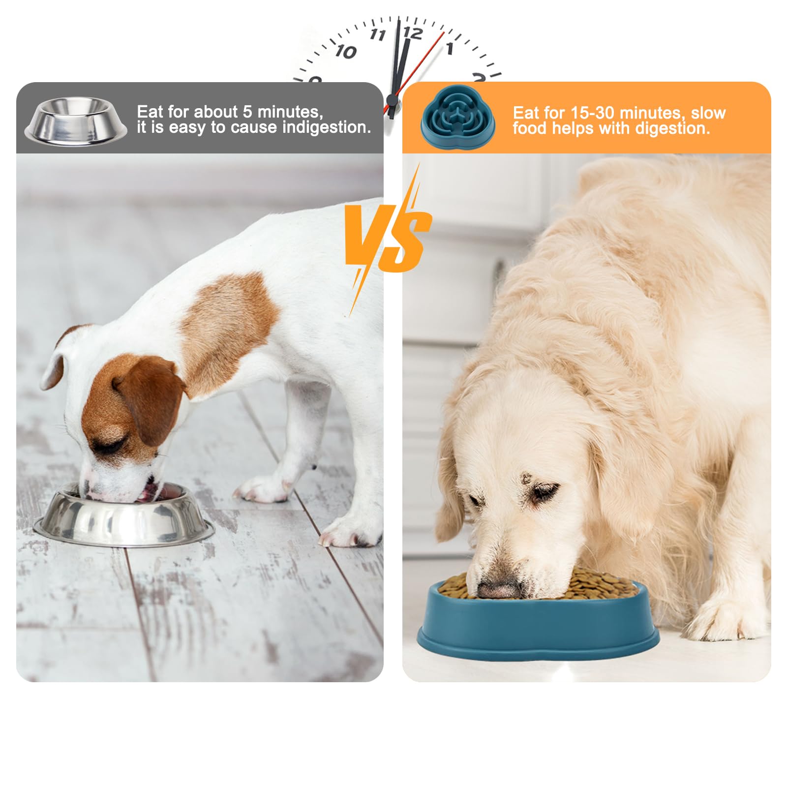 LURI 2pk Plato para Perro alimentación Lenta, Plato para Perro con Alfombrilla Antideslizante, tazones para Perro Que Ayuda a Las Mascotas a digerir. Adecuado para Mascotas pequeñas y Medianas