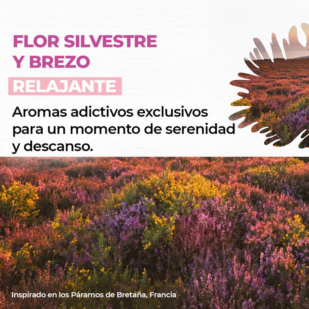 Yves Rocher 4 PACK jabón líquido para manos aromas ENERGIZANTES - ESTIMULANTES: Alga Slavaje + Mango y Cilantro + Frambuesa y Hierbabuena + Flor silvestre (190 ml C/U)