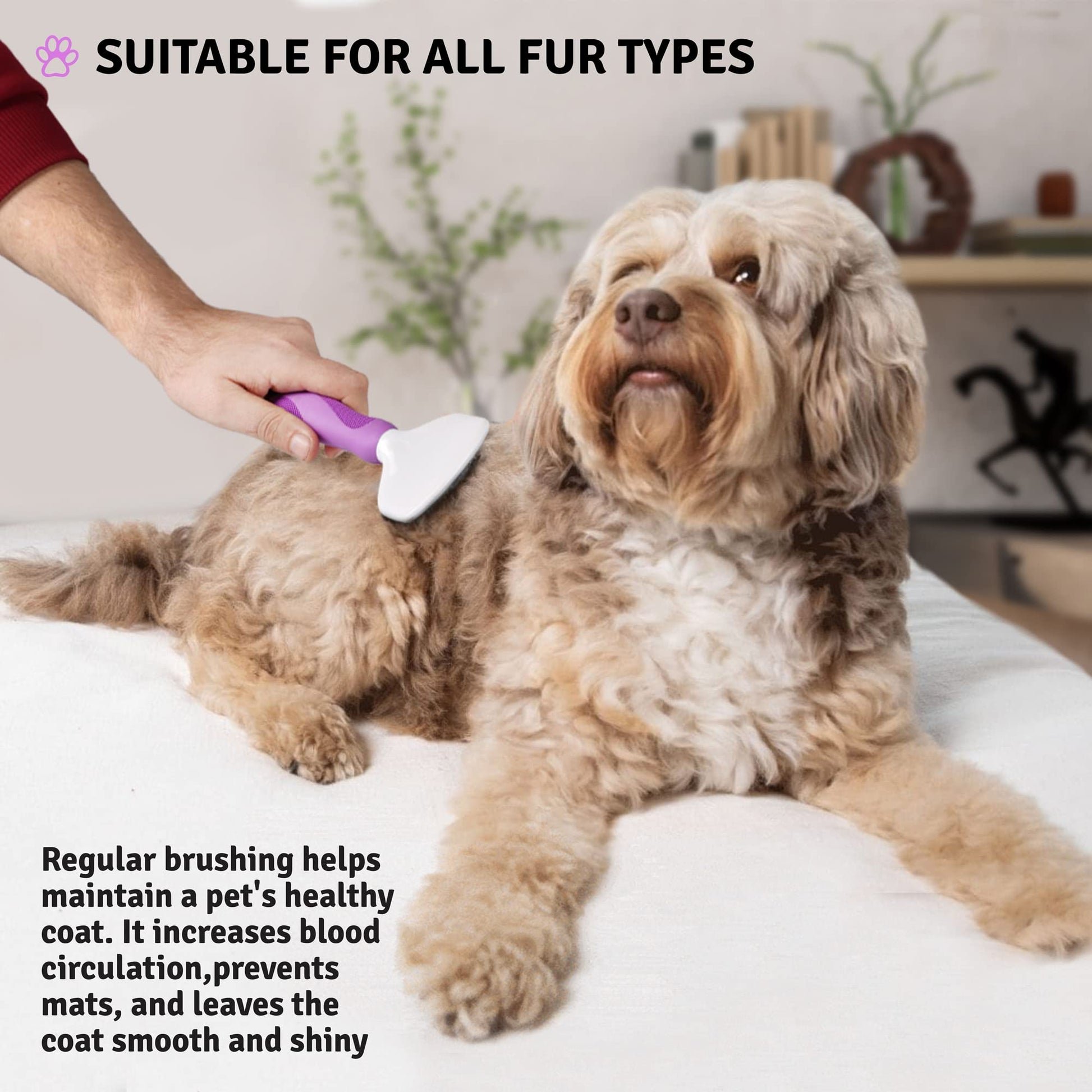 Cepillo Slicker Poodle Pet Mate Suelta Nudos para Peluquería en Perros Gatos Conejos