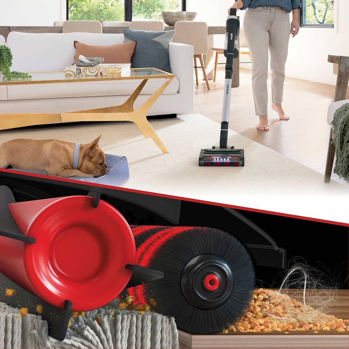 Shark Stratos, Aspiradora Inlámbrica, Succión Ultrapotente, Cepillo Giratorio de Autolimpieza, Limpieza con Tecnología Neutralizadora de Olores, UZ865H