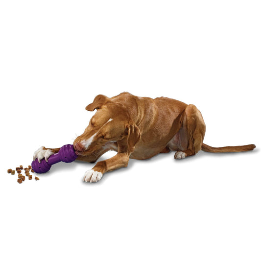 Juguete para Perro PetSafe Busy Buddy Chuckle Mediano/Grande