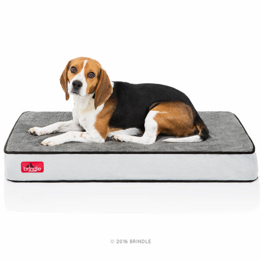 Brindle Cama para Perro ortopédica de Memory Foam de 10 cm Cubierta de velvetón extraíble con Lino Impermeable, tamaño Mediano, Color Negro/carbón, 86 x 56 cm