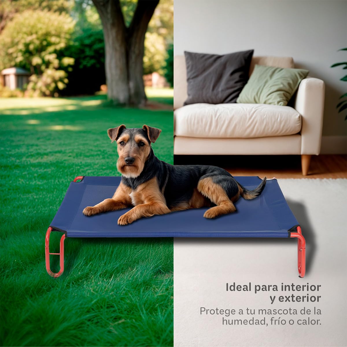 Cama Elevada Esquimal Azul Rojo con Malla Transpirable para Perro Chico Interior y Exterior