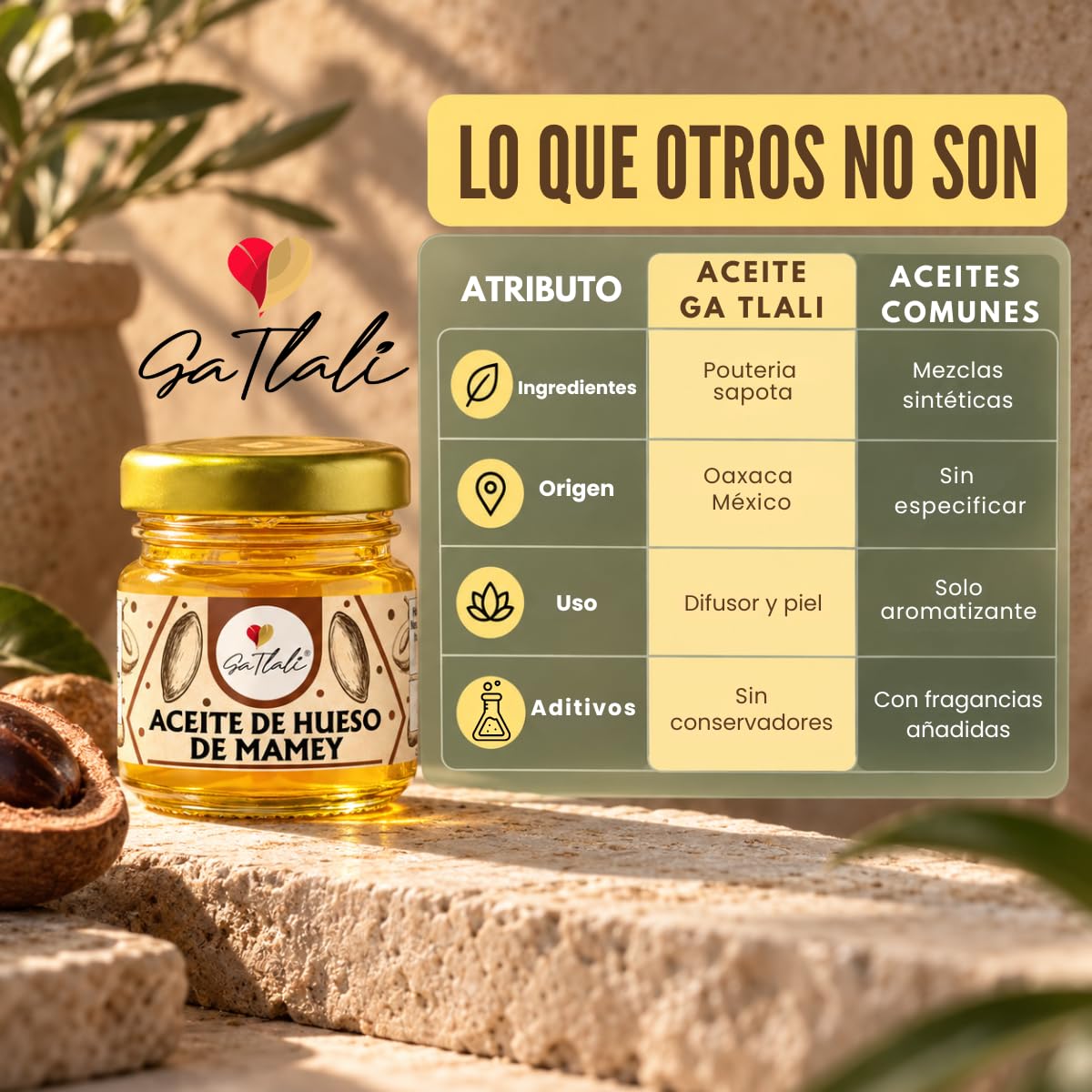Aceite de Hueso de Mamey - Ga Tlali 30ml - Aceite Esencial para Difusor De Aromas, Humidificador Y Aceite Relajante Para Masajes Corporales Diluido - Con Aroma Dulce Acondicionador