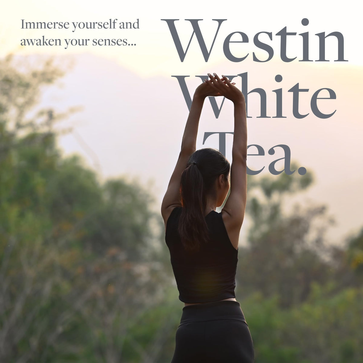 Westin Hotel & Resorts Westin Jabón líquido de manos de té blanco – fragancia de té blanco combinada con aloe – Dispensador de bomba – 8 onzas