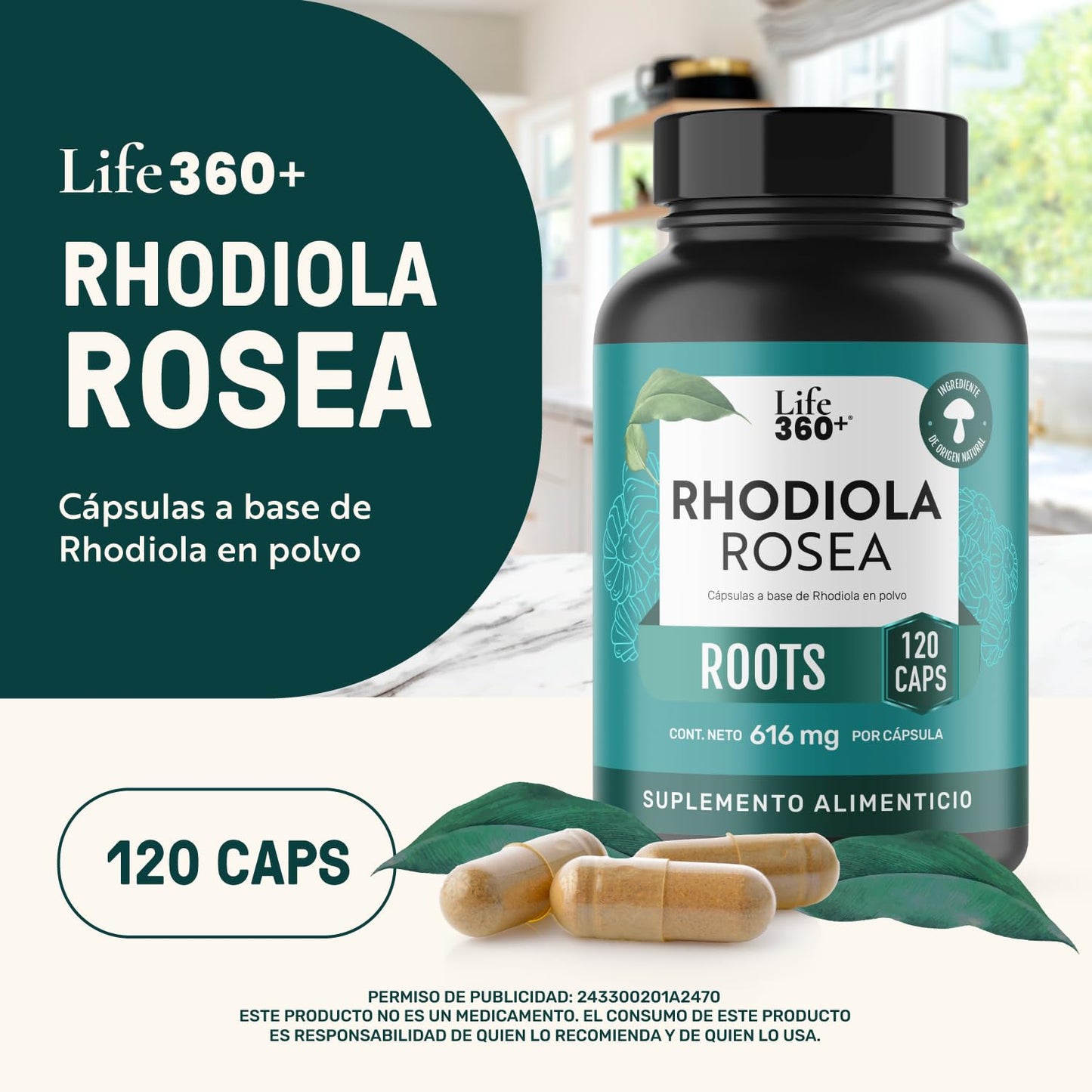 LIFE 360+ Rhodiola Rosea | 120 Cápsulas | 616 mg c/u | 60 Porciones | Suplemento Alimenticio a Base de Raíz Rhodiola Rosea en polvo | Tomar 2 cápsulas al día
