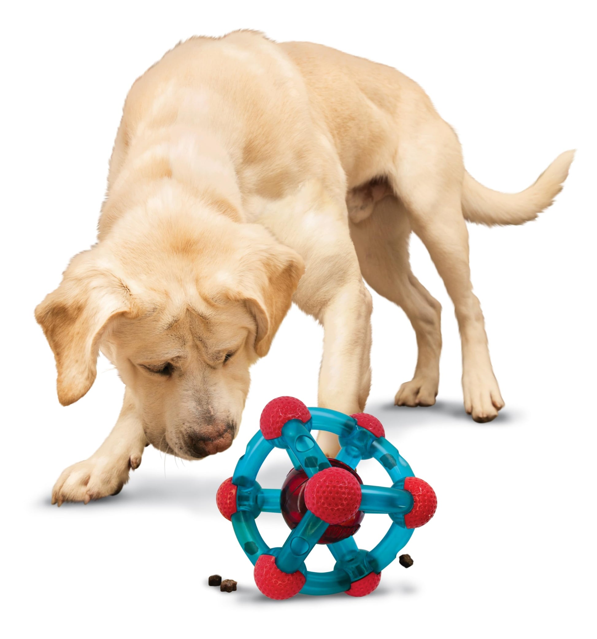 KONG Dispensador Tinker Med/Grande para Perro